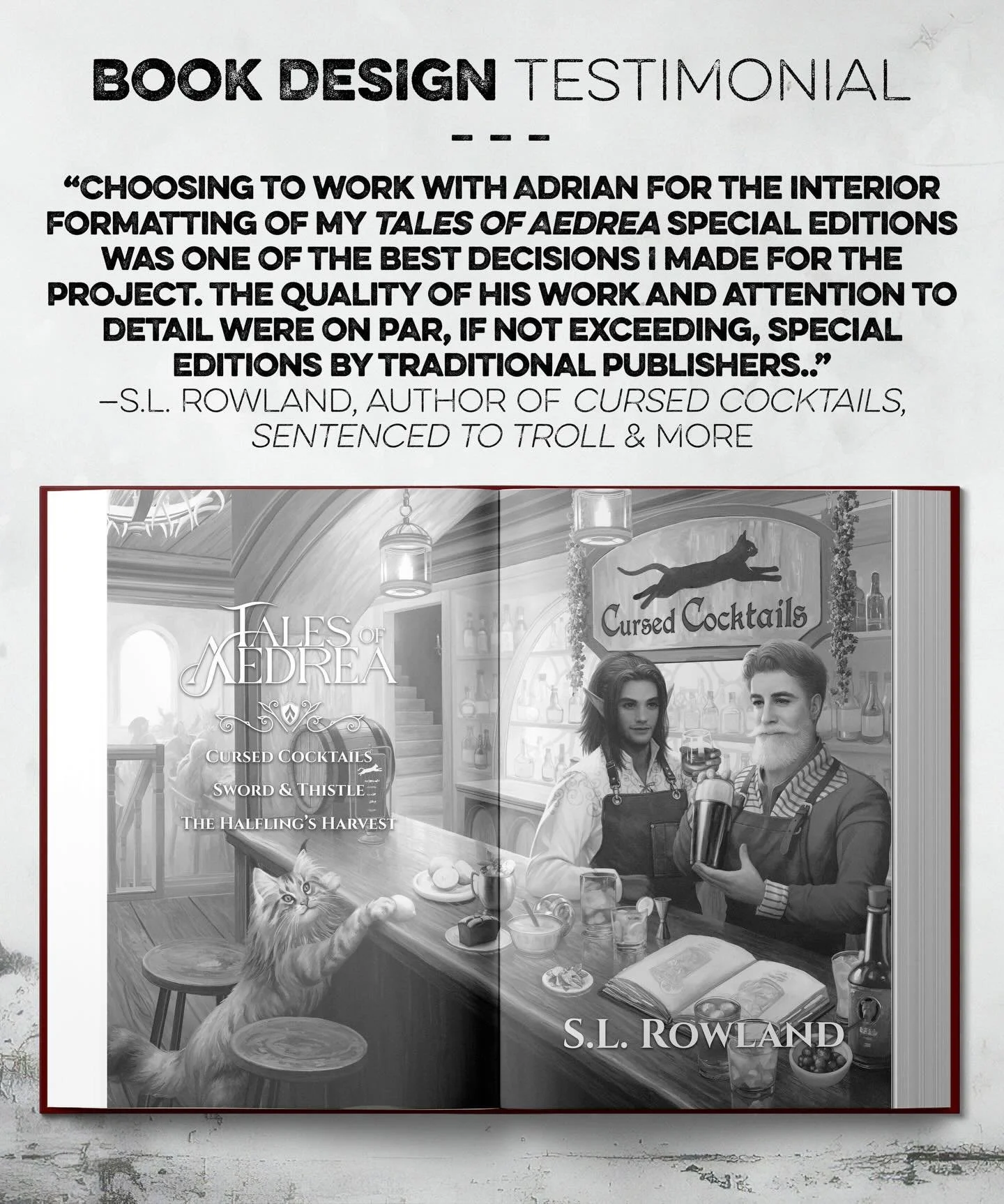 📚 BOOK DESIGN TESTIMONIAL 📚
Super grateful to @slrowlandauthor for bringing me on to design/format the interiors of his gorgeous Tales of Aedrea deluxe editions. Thank you for the trust and the kind words, brother. 

Consider hiring me for your nex