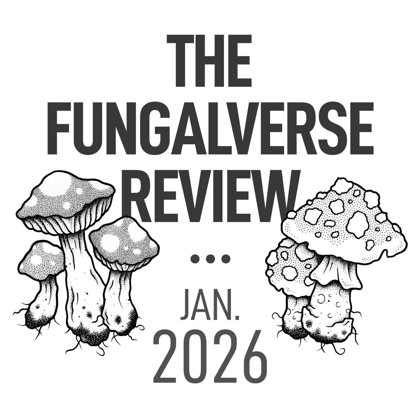 🍄 THE FUNGALVERSE REVIEW January edition is out TOMORROW 🍄
In this month&rsquo;s newsletter I chat about work/life balance, writing routines, new project teases, book recommendations (@slrowlandauthor + @nicolegloverwrites) &amp; more. 

Don&rsquo;