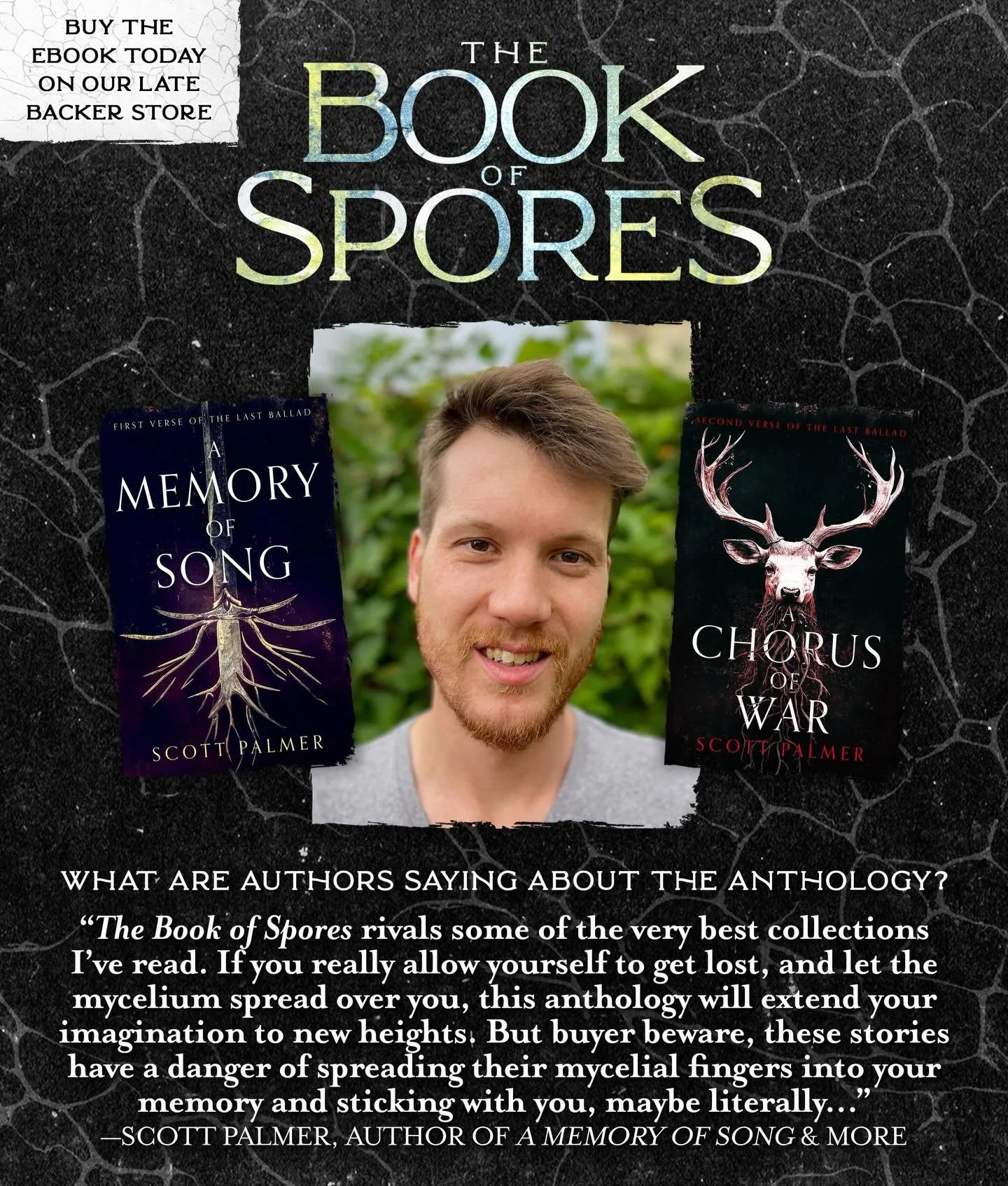 Another amazing blurb for THE BOOK OF SPORES fungal anthology! A huge thank you to @scottpalmerauthor for reading the collection, and even more so for the high praise 🍄

And if you like the magic-filled, nature-based stories featured in The Book of 