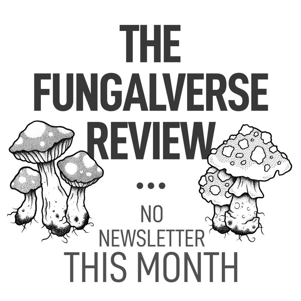 August has been an exhausting month (especially with both boys at home for summer break) and the madness of their first week of school is upon me, so I&rsquo;m skipping out on a newsletter this month. But, I promise I&rsquo;ll be back at the end of S