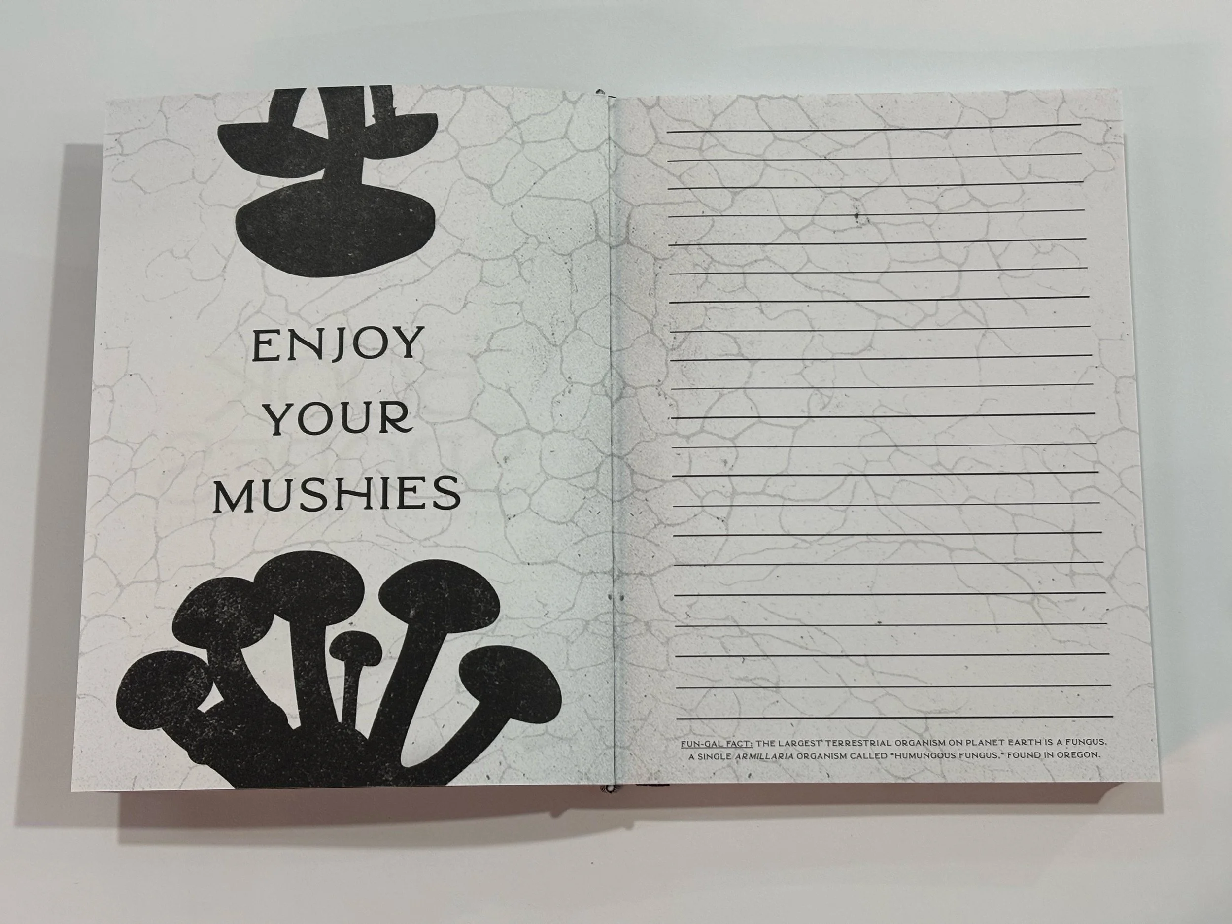 A Journal for Multiversal Travels ✨🍄
The Book of Spores deluxe hardcover is shipping out from our printer very soon and will be on its way to the @merrickbookshop warehouse (finally!!!). But alongside the hardcover and its fancy slipcase, they&rsquo
