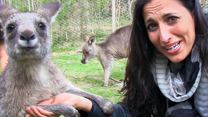 kangaroo 1.jpg