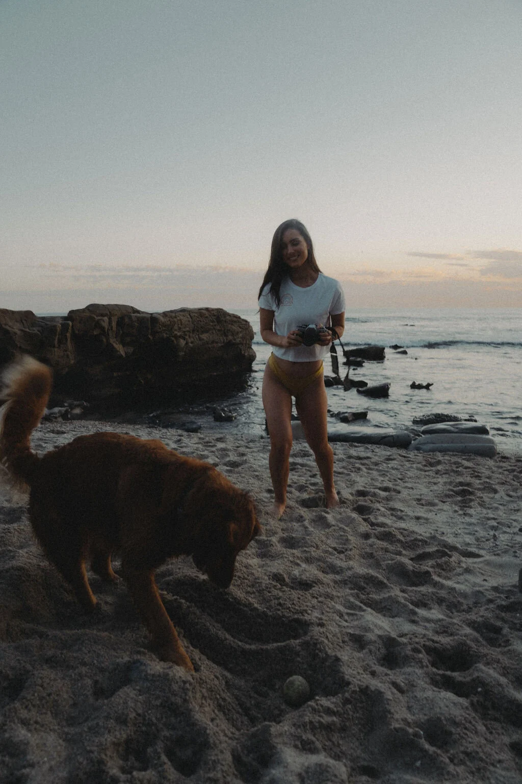 E3C856F5-BC95-4477-864E-E5CF528DAED3