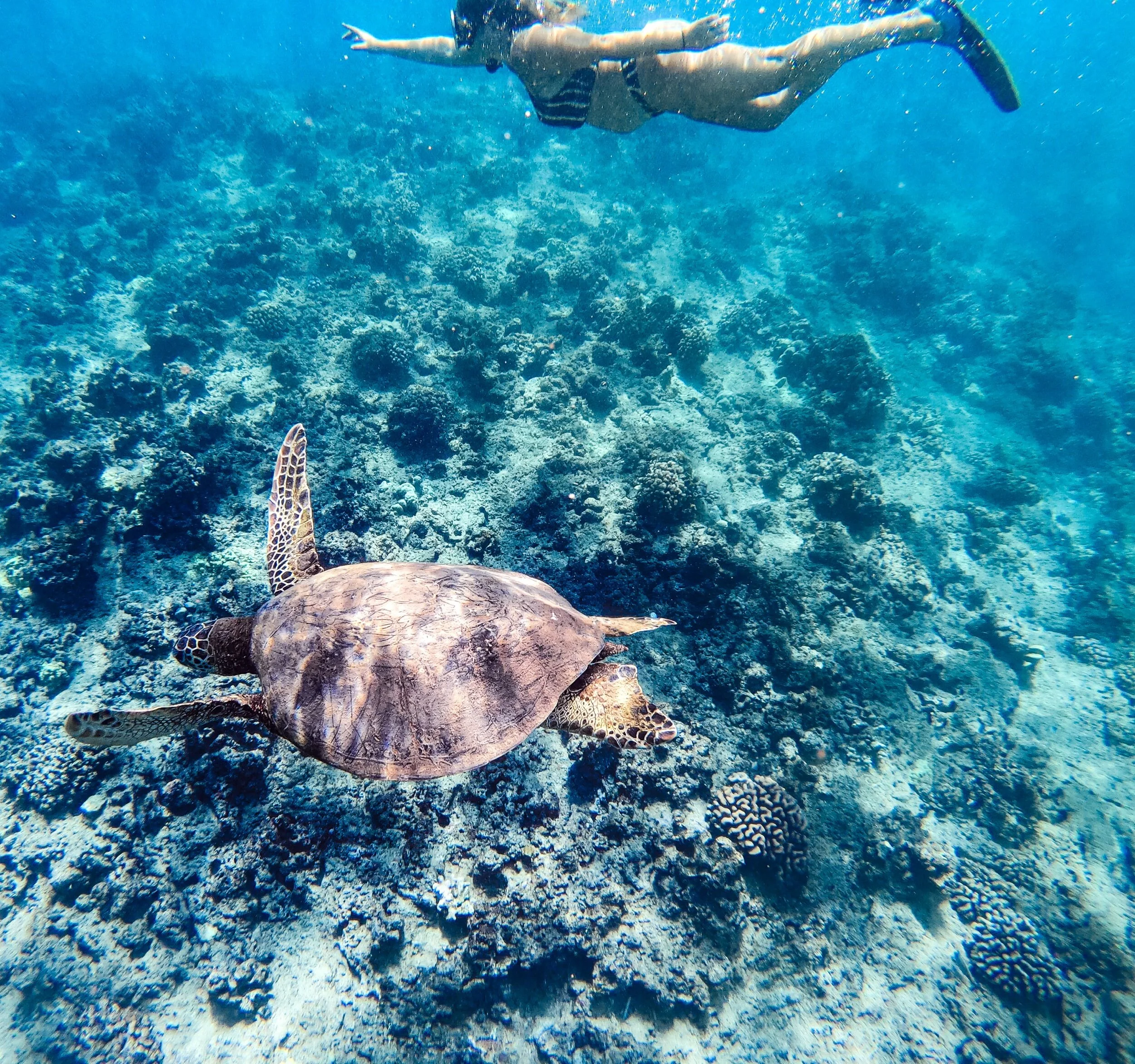 F2FC977A-12DF-49A3-A6E7-F05517772DC6