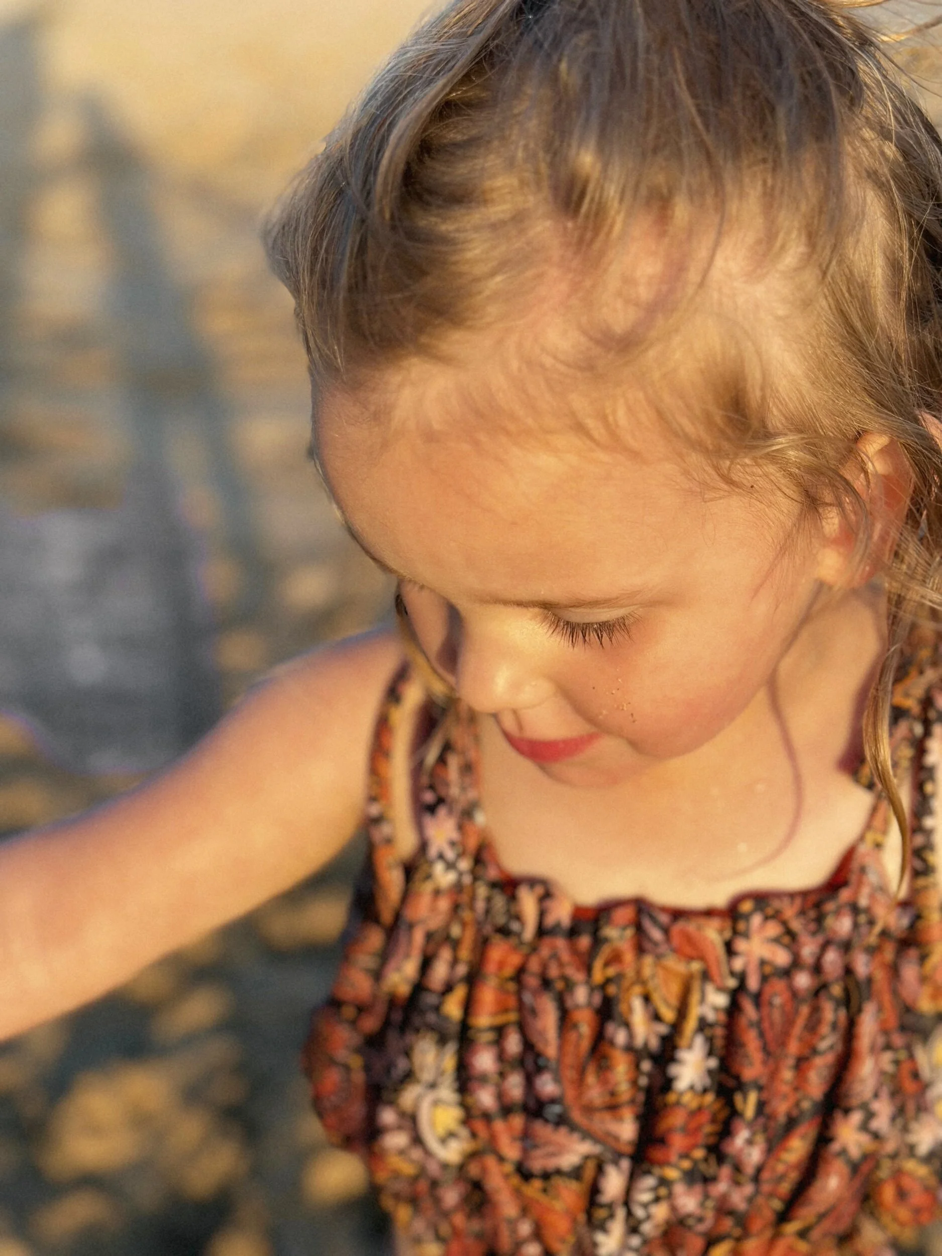 C040A33F-7C52-4A9D-8BC1-67BF08372AB4