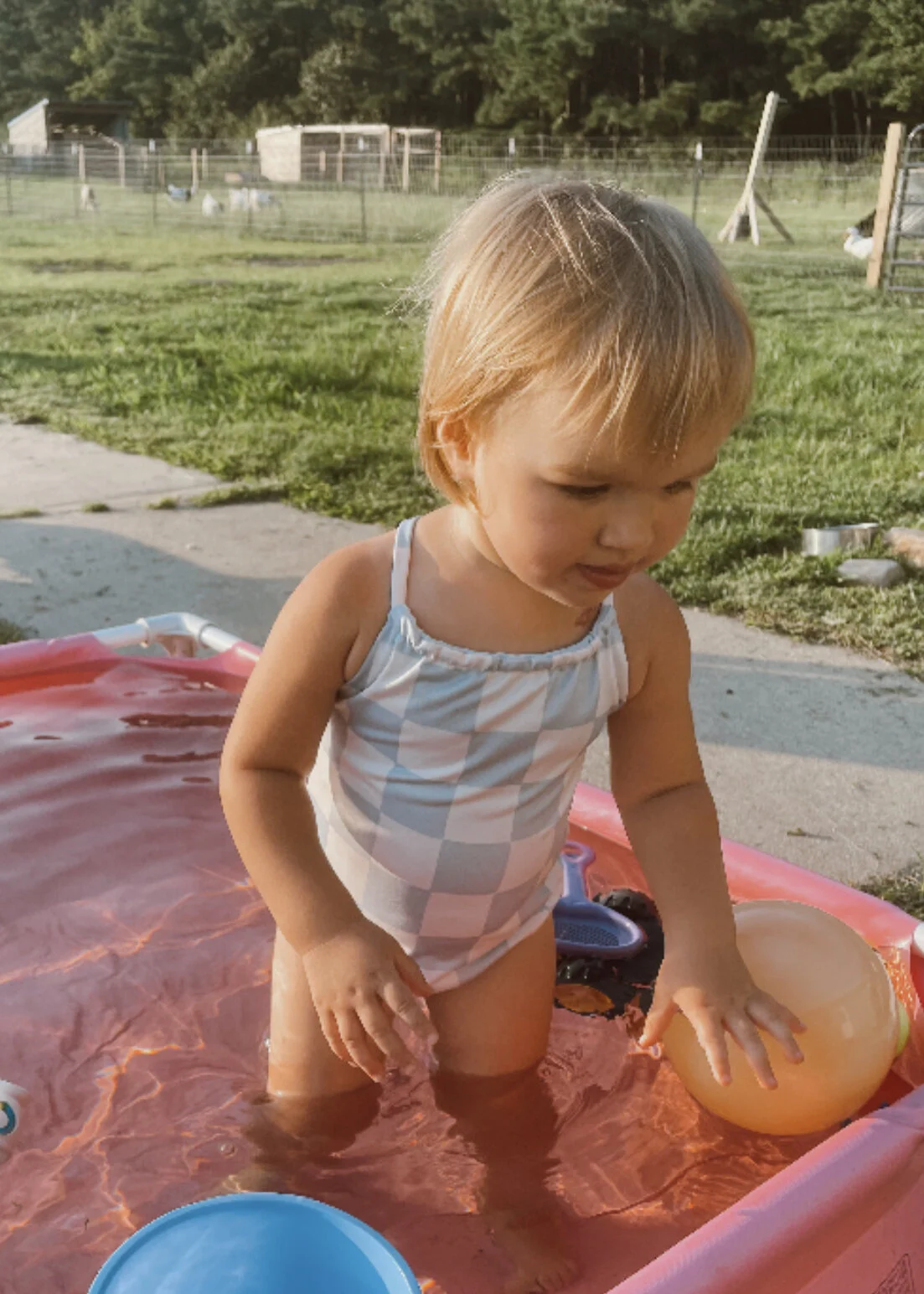 0DBEA3E5-F3F7-48A4-9B88-6A536DB97103