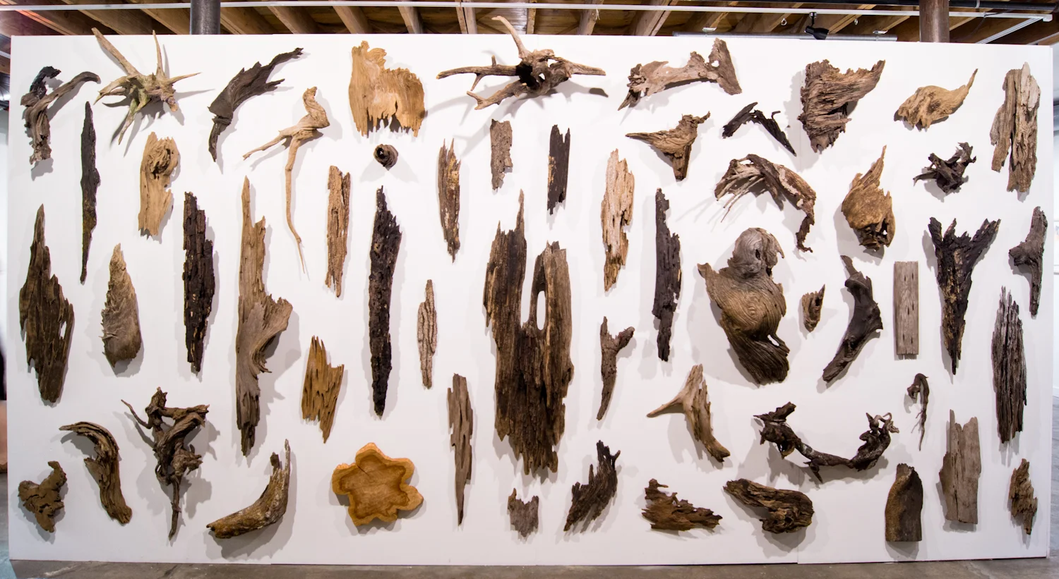 Floating Woods Vast Array