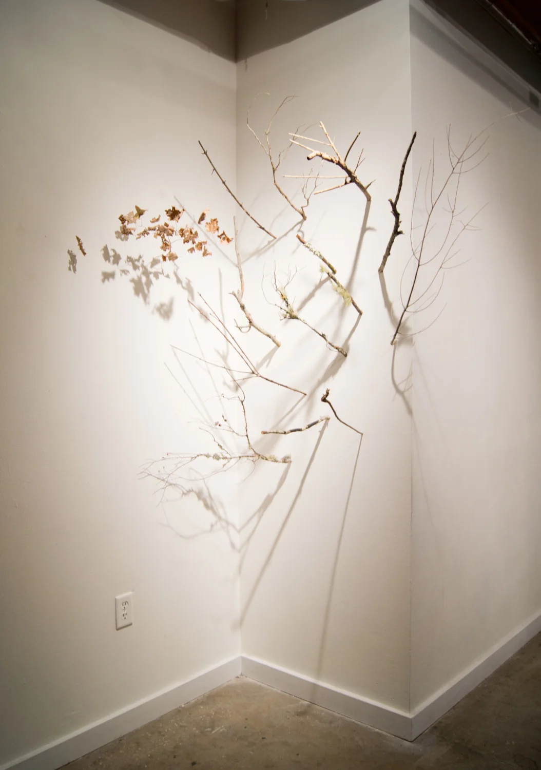 Floating Branch Array