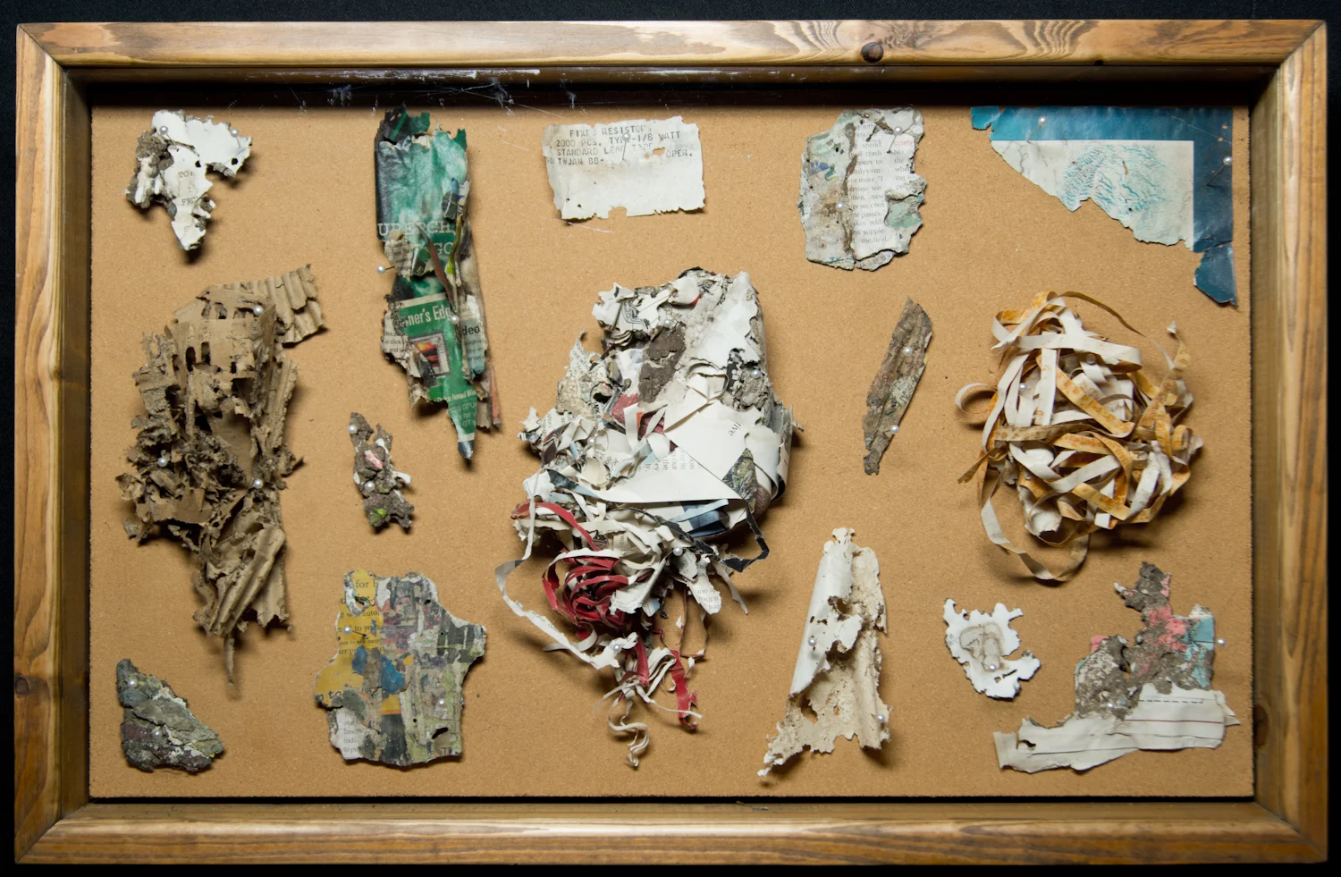 Natural Paper Sculptures