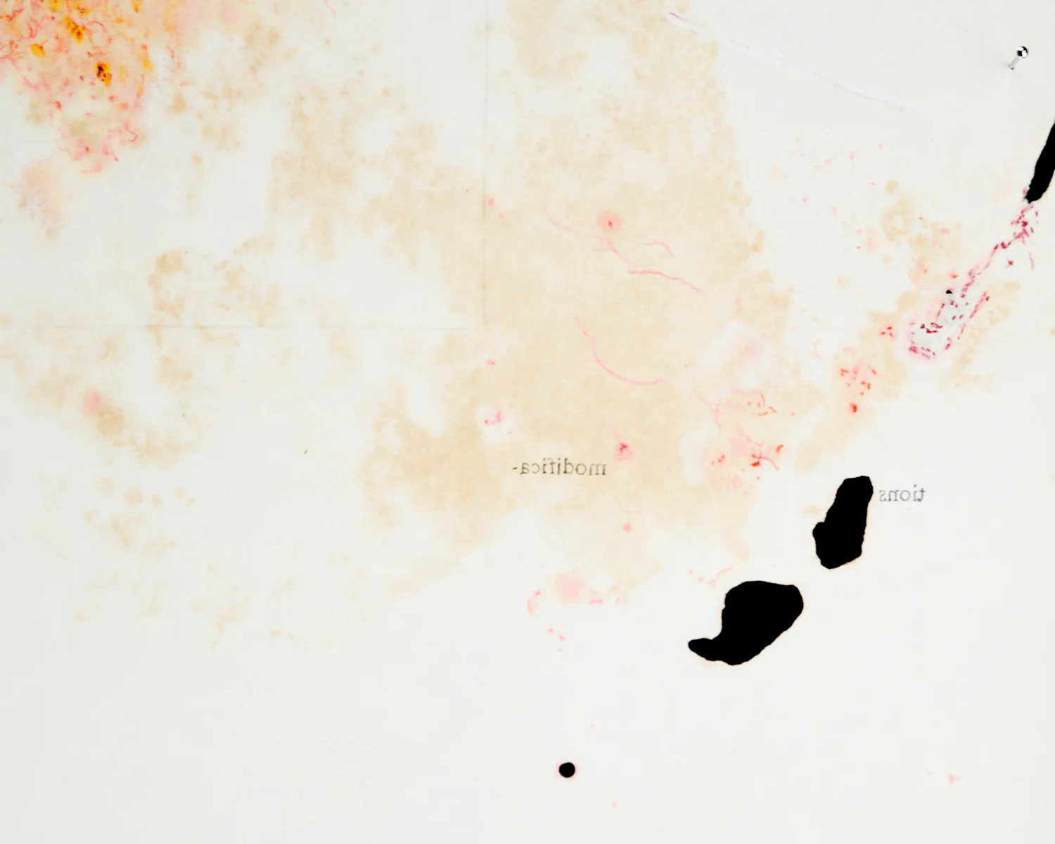 Different Blood (detail)