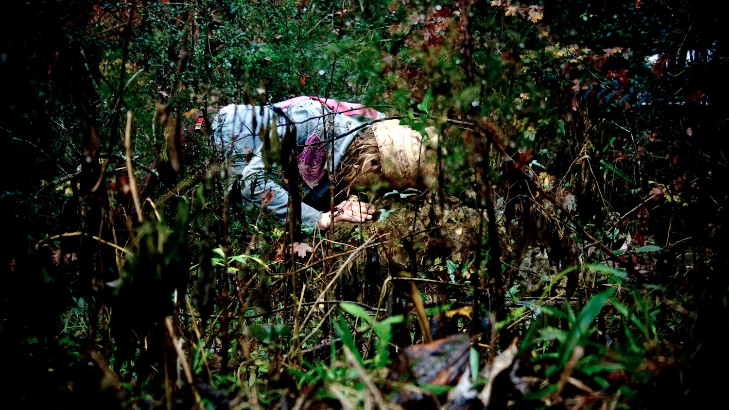 The Stalker (after Tarkovsky) II
