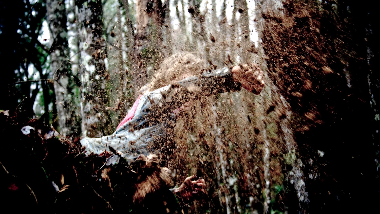 The Stalker (after Tarkovsky) III