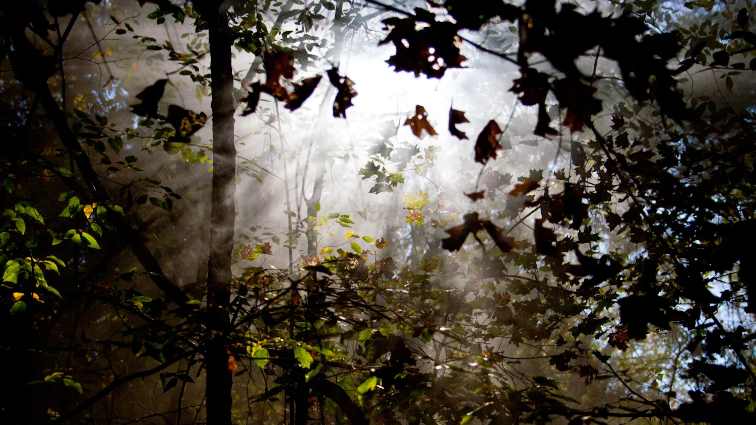 All is Foreground ~ IV