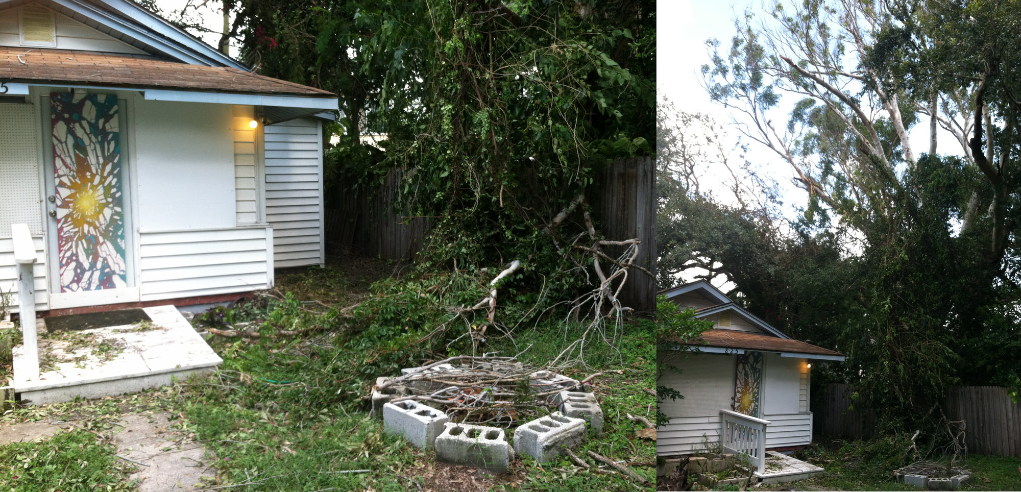 4. Hurricane Season (Divine Dance source materials - fallen eucalyptus branches).jpg