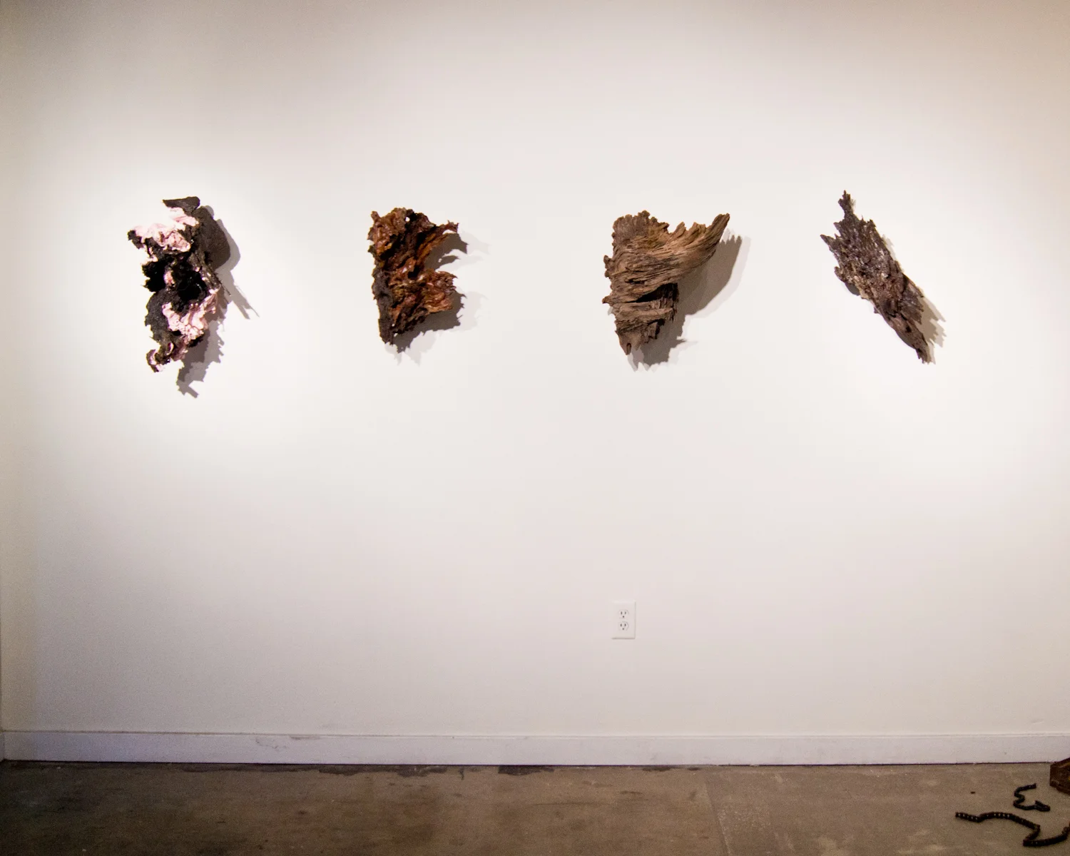Tree Viscera Sculpture (install view)