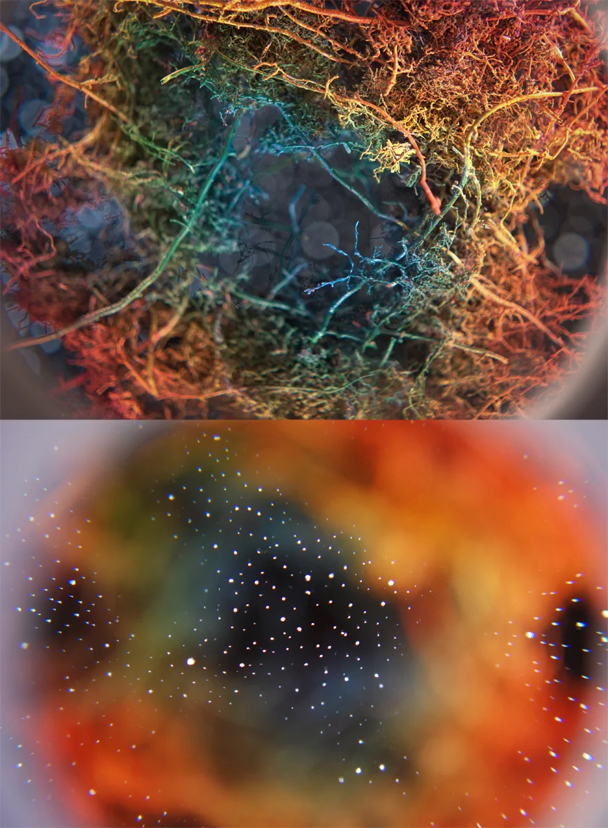 new_Jensen_Kenny_Rhizome Nebula (detail 1).jpg