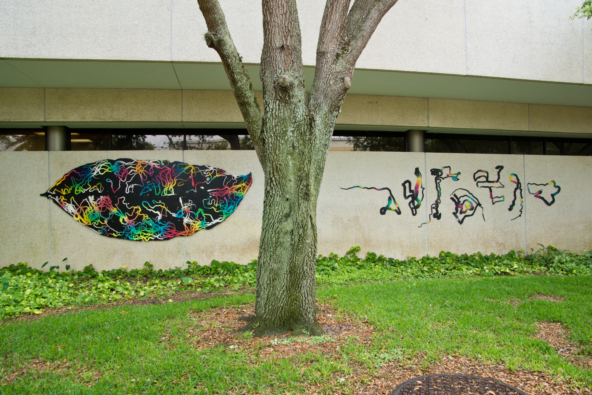 Paths of Consumption: USFSP (University of South Florida - Downtown St.Petersburg, FL) 