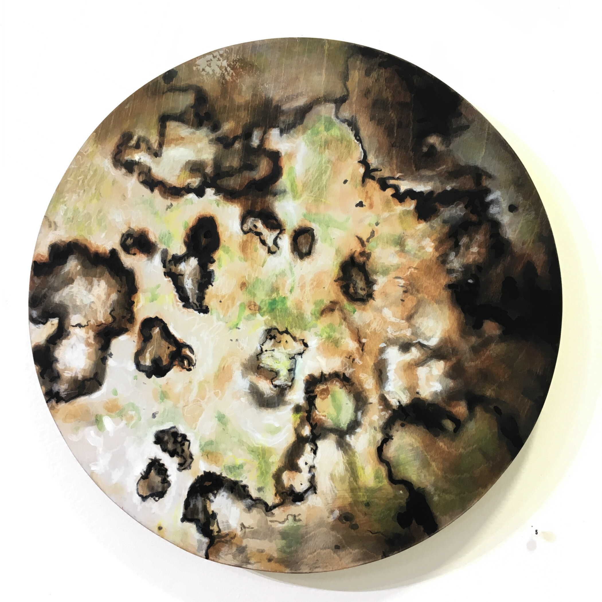 Lichen Planisphere ~ 5