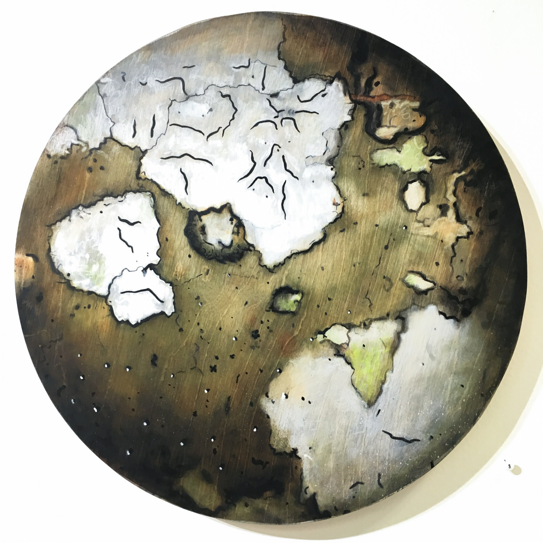 Lichen Planisphere ~ 3