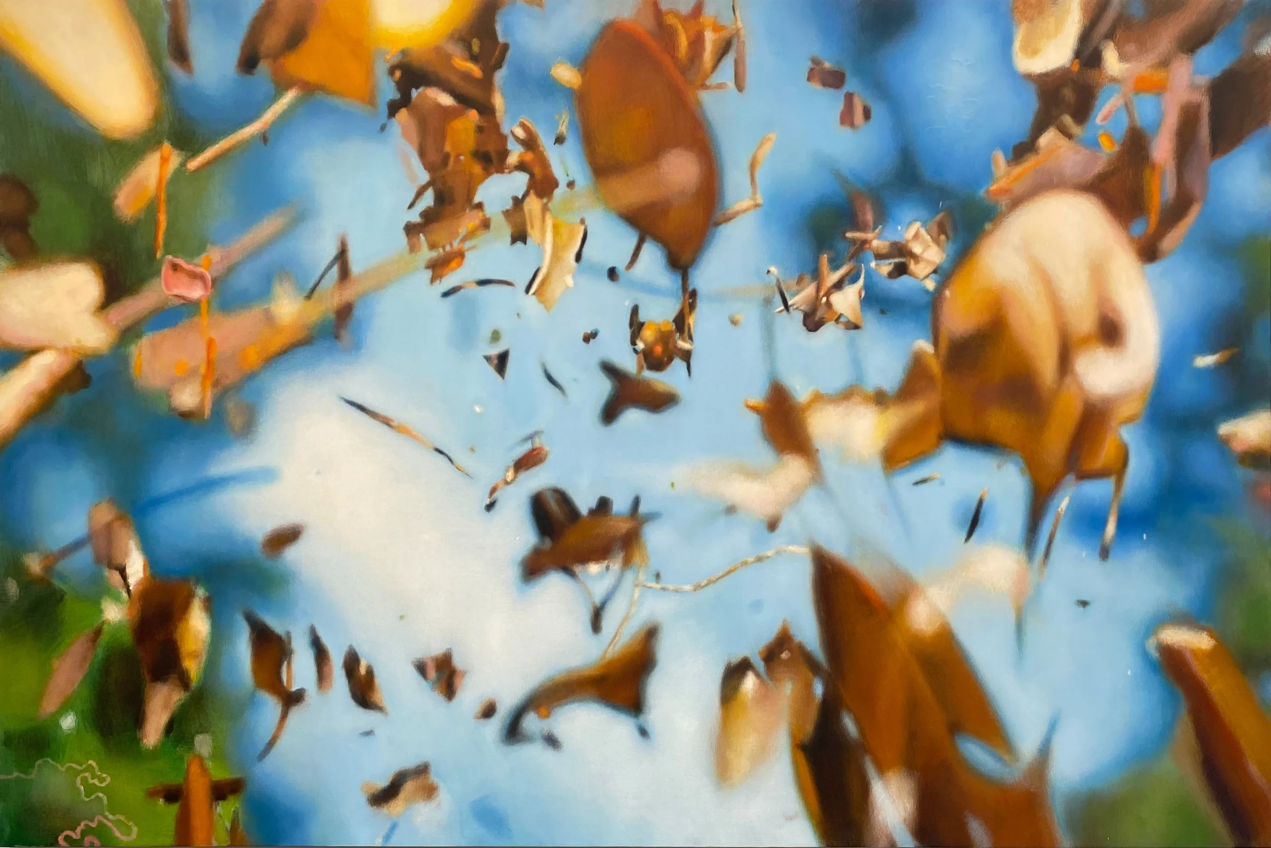 Can’t See the Trees for Every Fallen Leaf