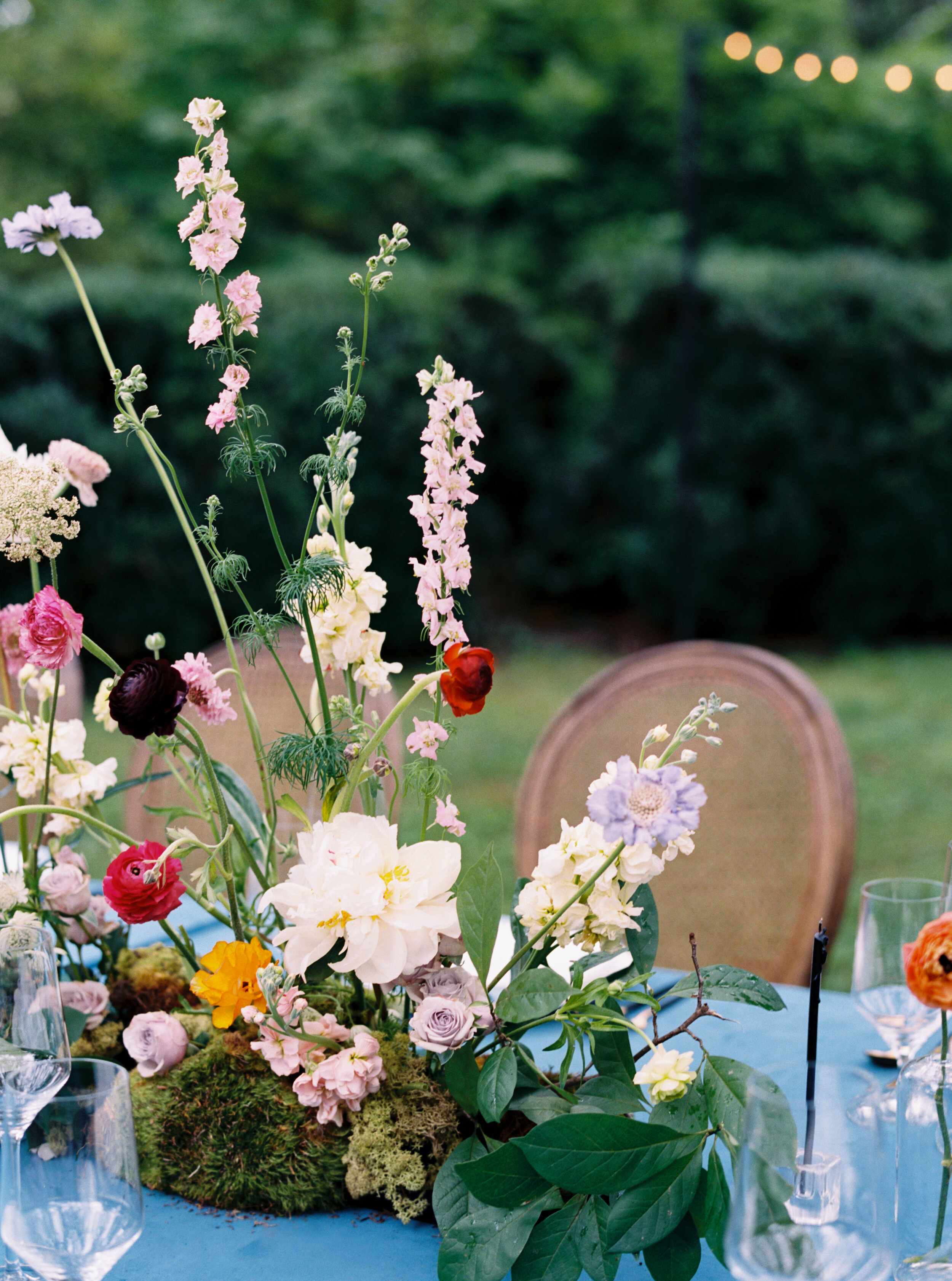 AmandaOliviaPhotography_WhitewoodMeadowlark-205.jpg