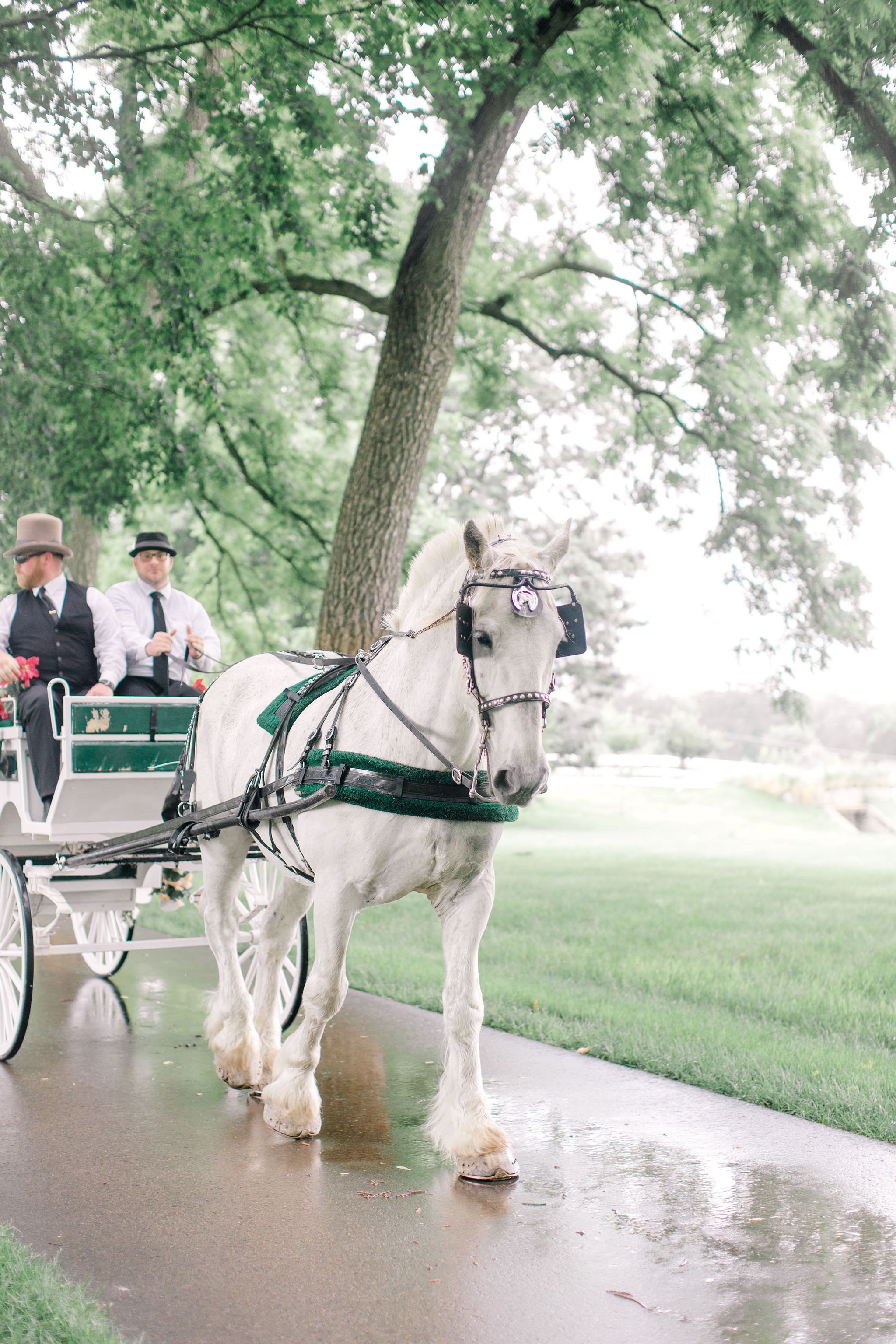 AngelicaMariePhotography_www.angelicamariephotography.com_HaleyandJohnFinchWedding_CornmanFarms_640.JPG