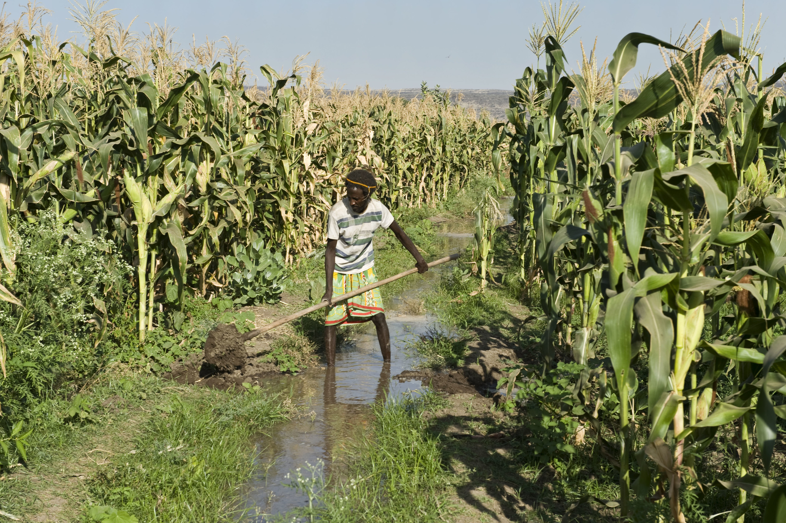 Barefoot_Projects_Community GardenPS002.jpg