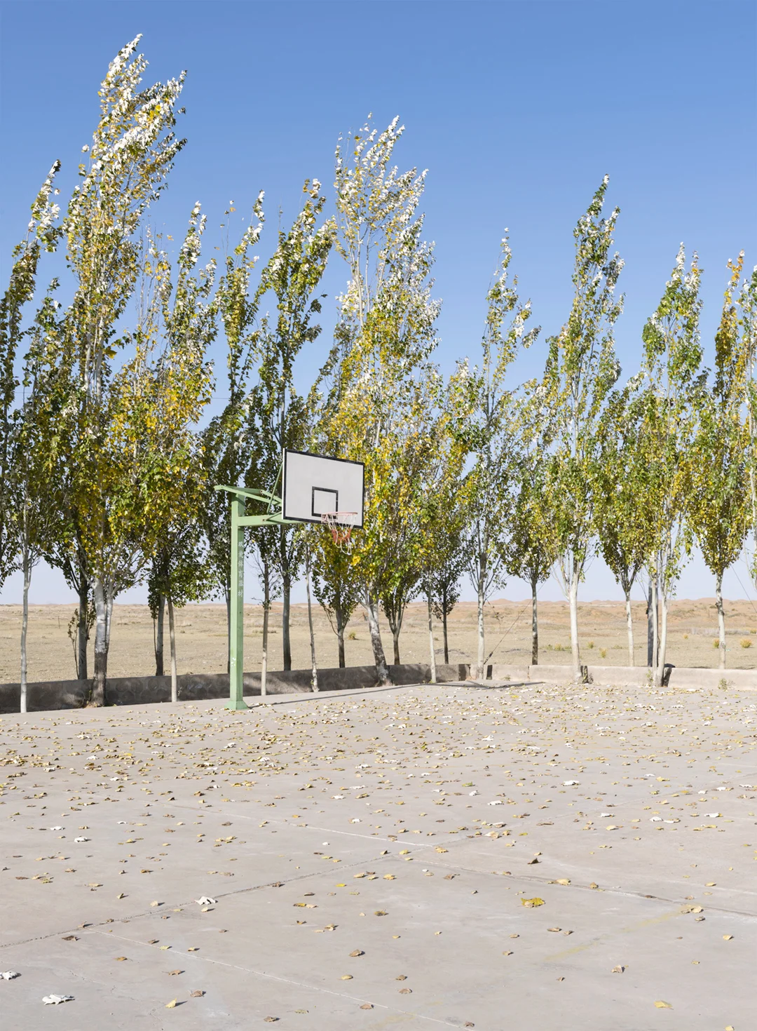 Tengger Desert, Inner Mongolia