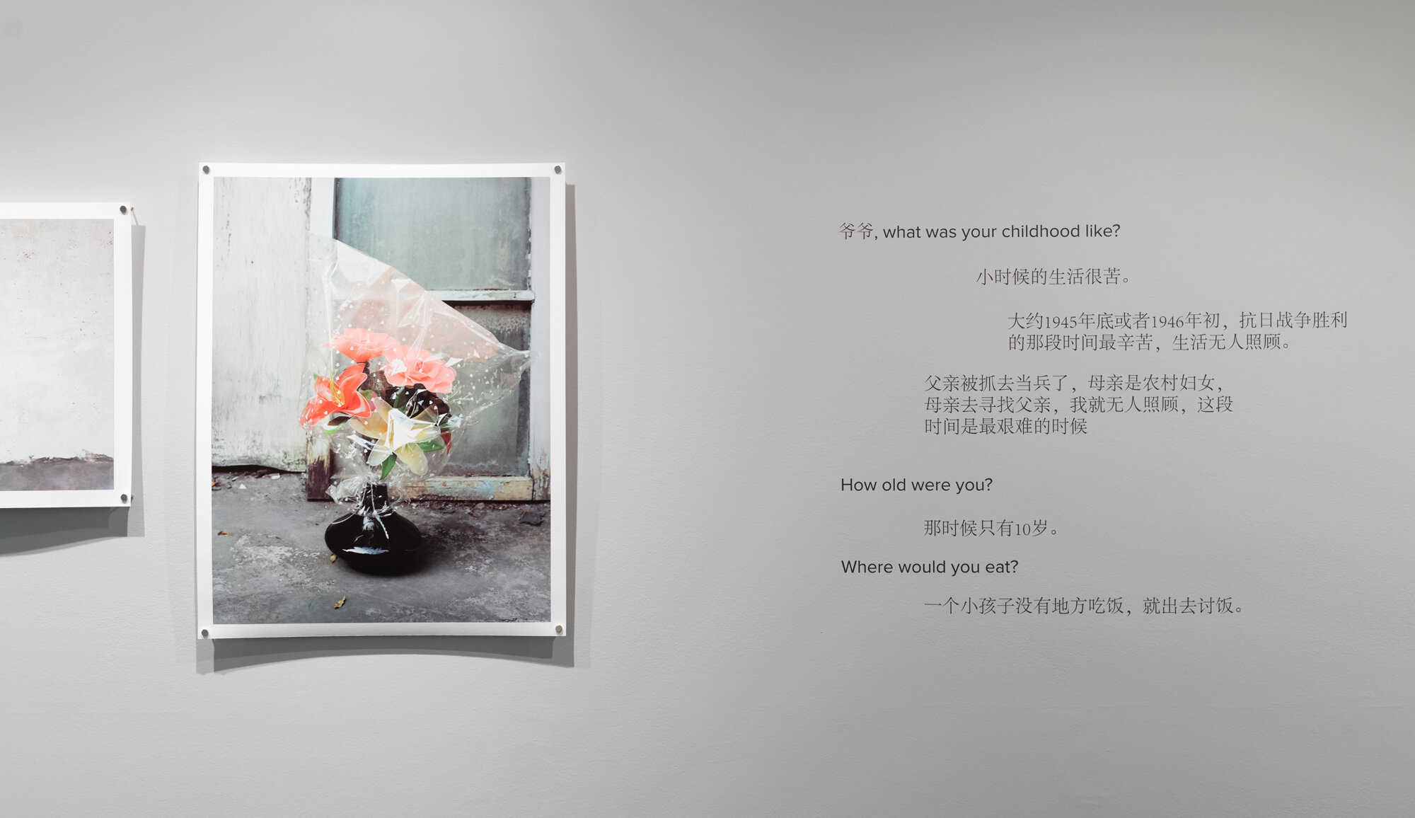   Statement    Lucy Lu: 大皮院 (Da Pi Yuan)  (installation view), 2019 © Larissa Issler, Ryerson Image Centre 