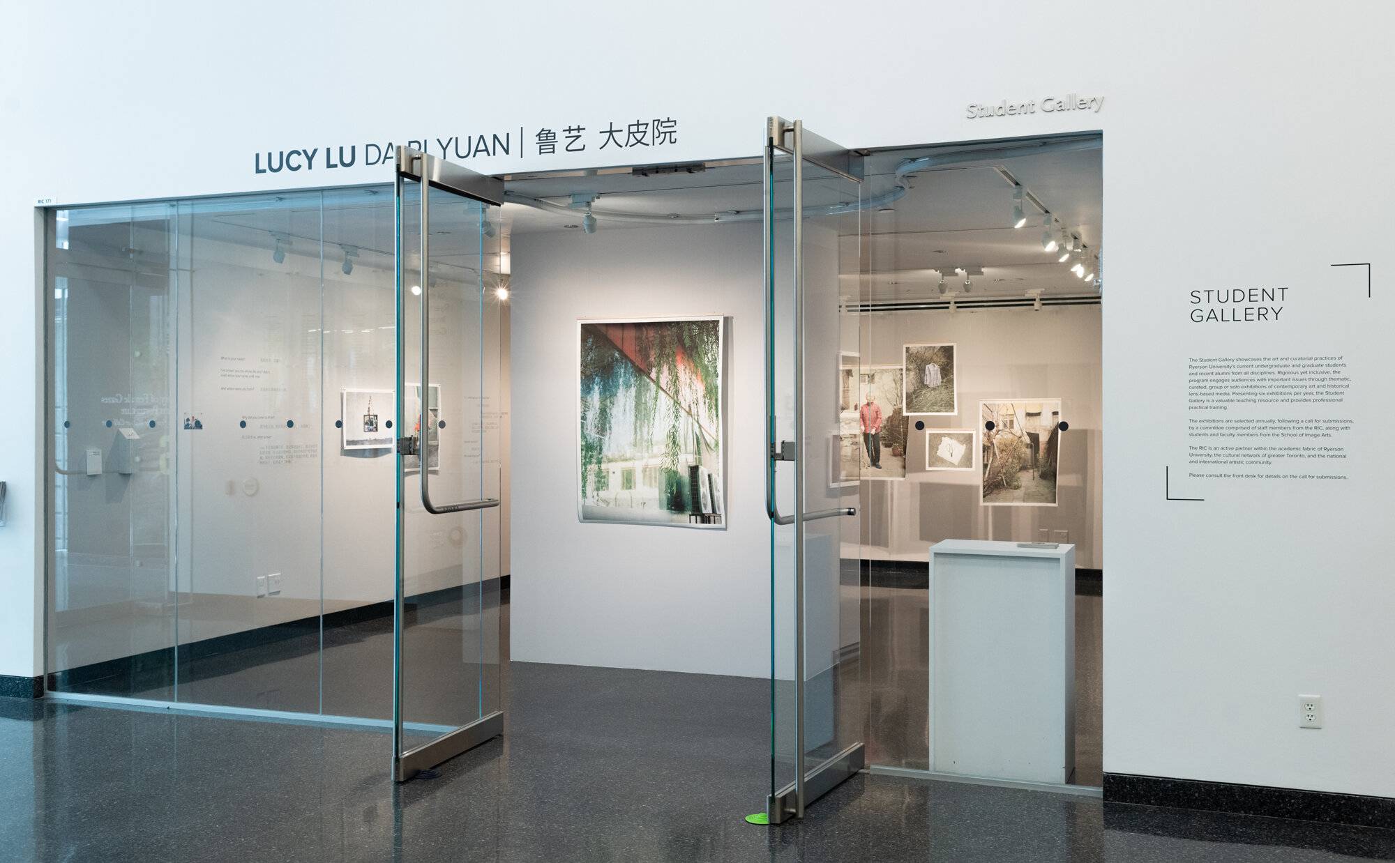   Statement    Lucy Lu: 大皮院 (Da Pi Yuan)  (installation view), 2019 © Larissa Issler, Ryerson Image Centre 