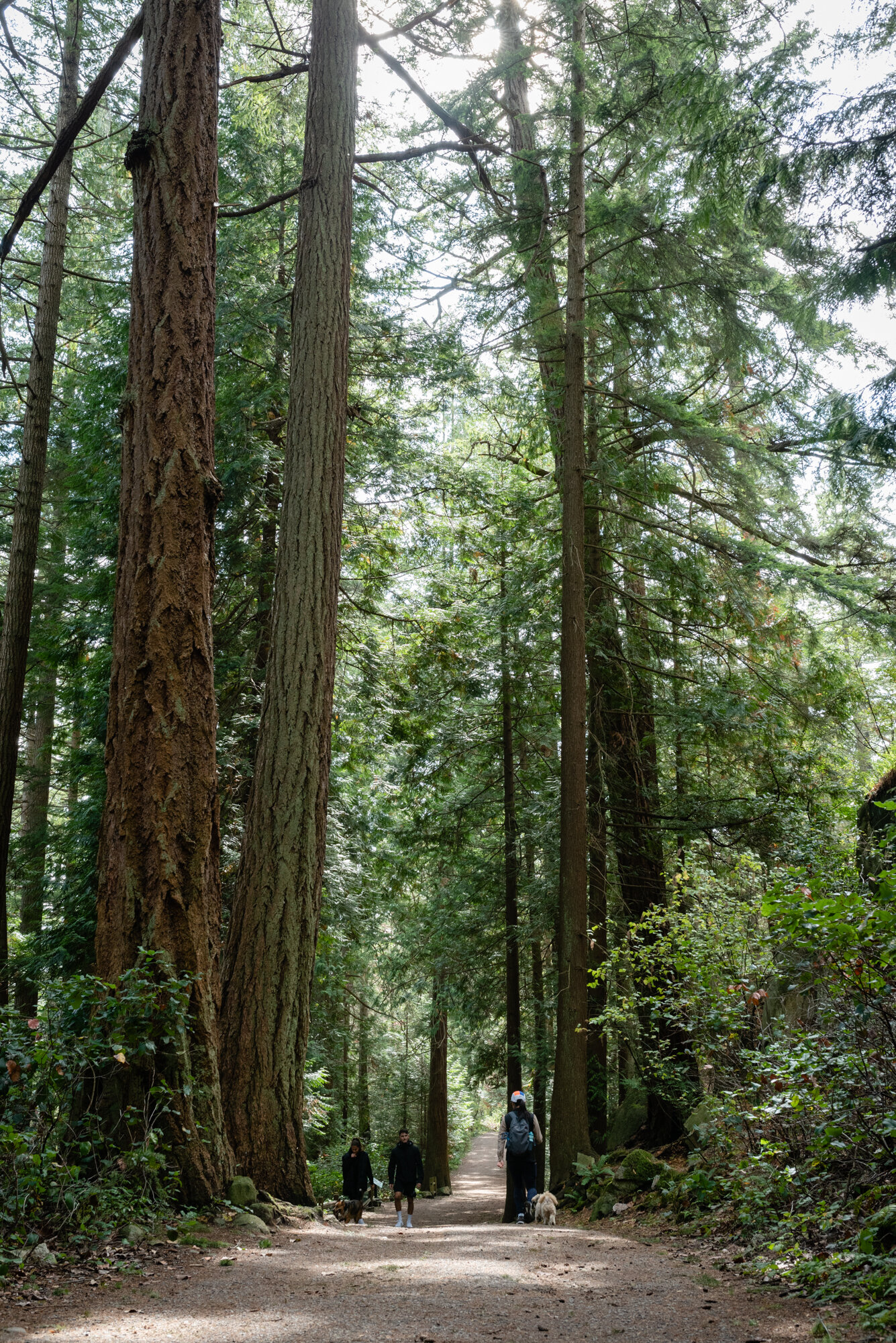  Vancouver, British Columbia 