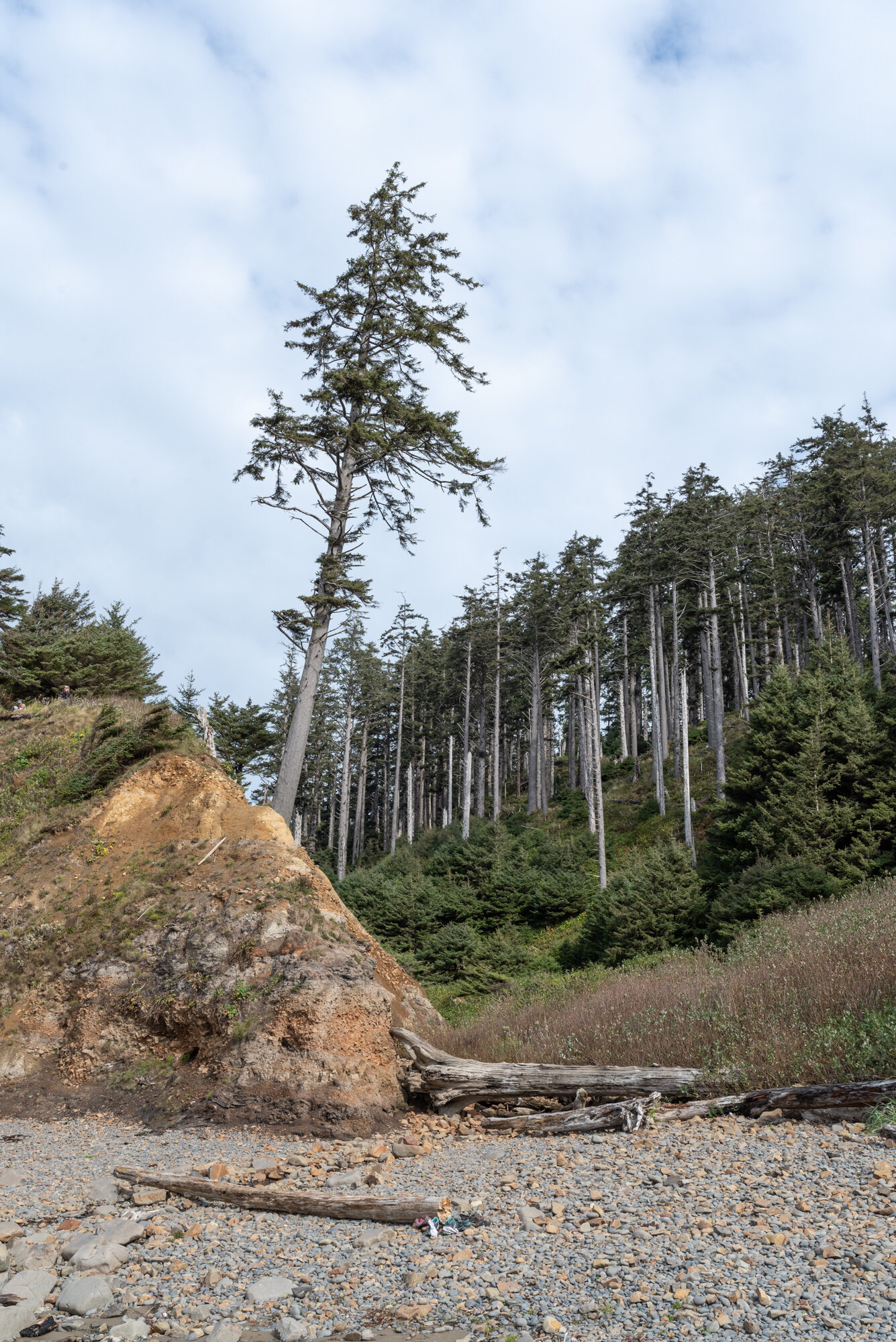  Ecola State Park, Oregon 