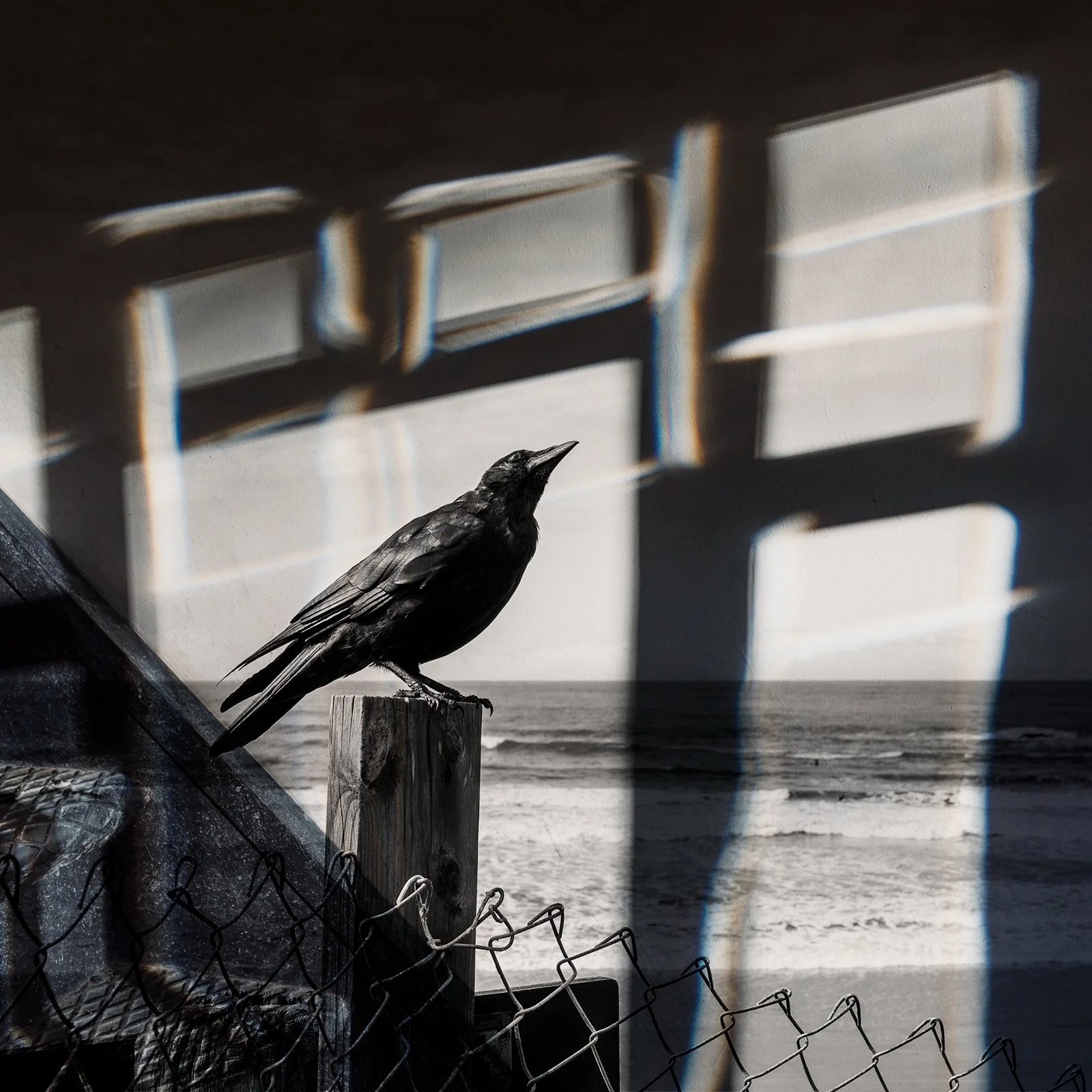 Still As a Midnight Lake by Kailee Mandel