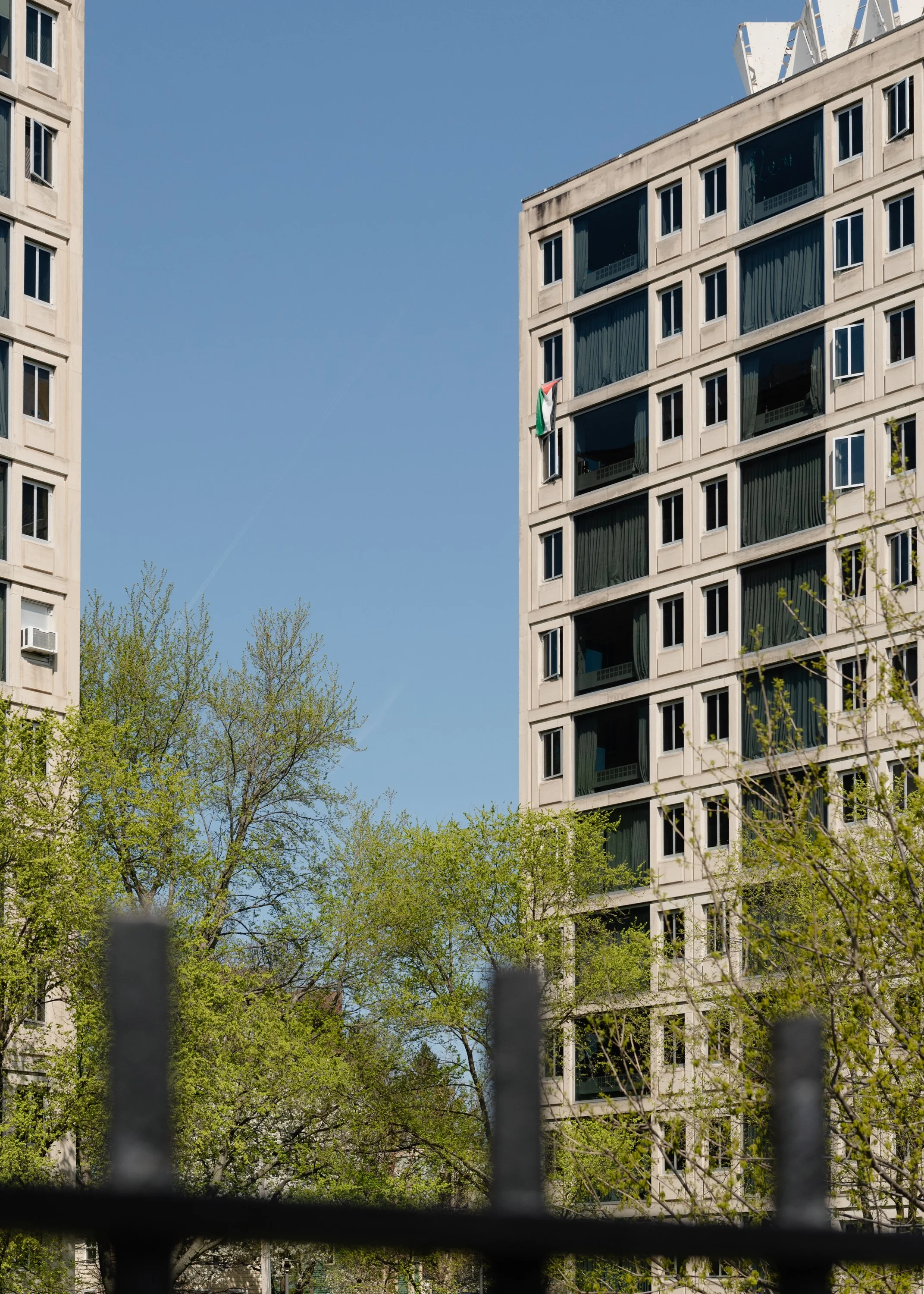 A Palestinian flag hangs from a building on the Harvard campus.