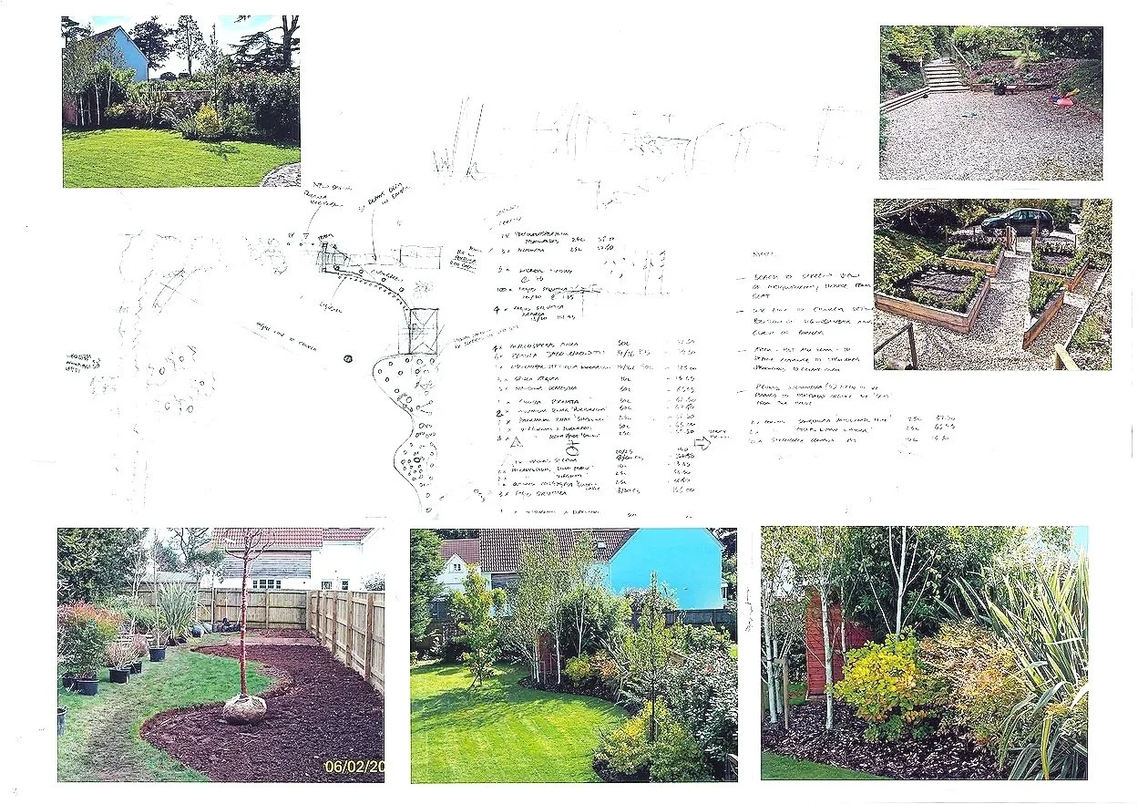  Instant border - Devon  A client who had ‘no wish to wait 10 years for the garden to look great’ achieved her goal with the introduction of mature plants after the existing lacklustre border was completely cleared. 
