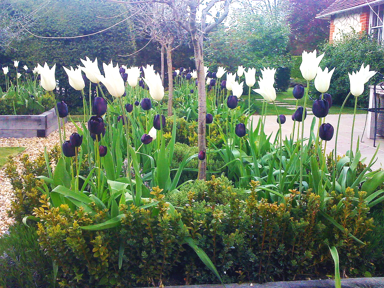 may+2010+059.png
