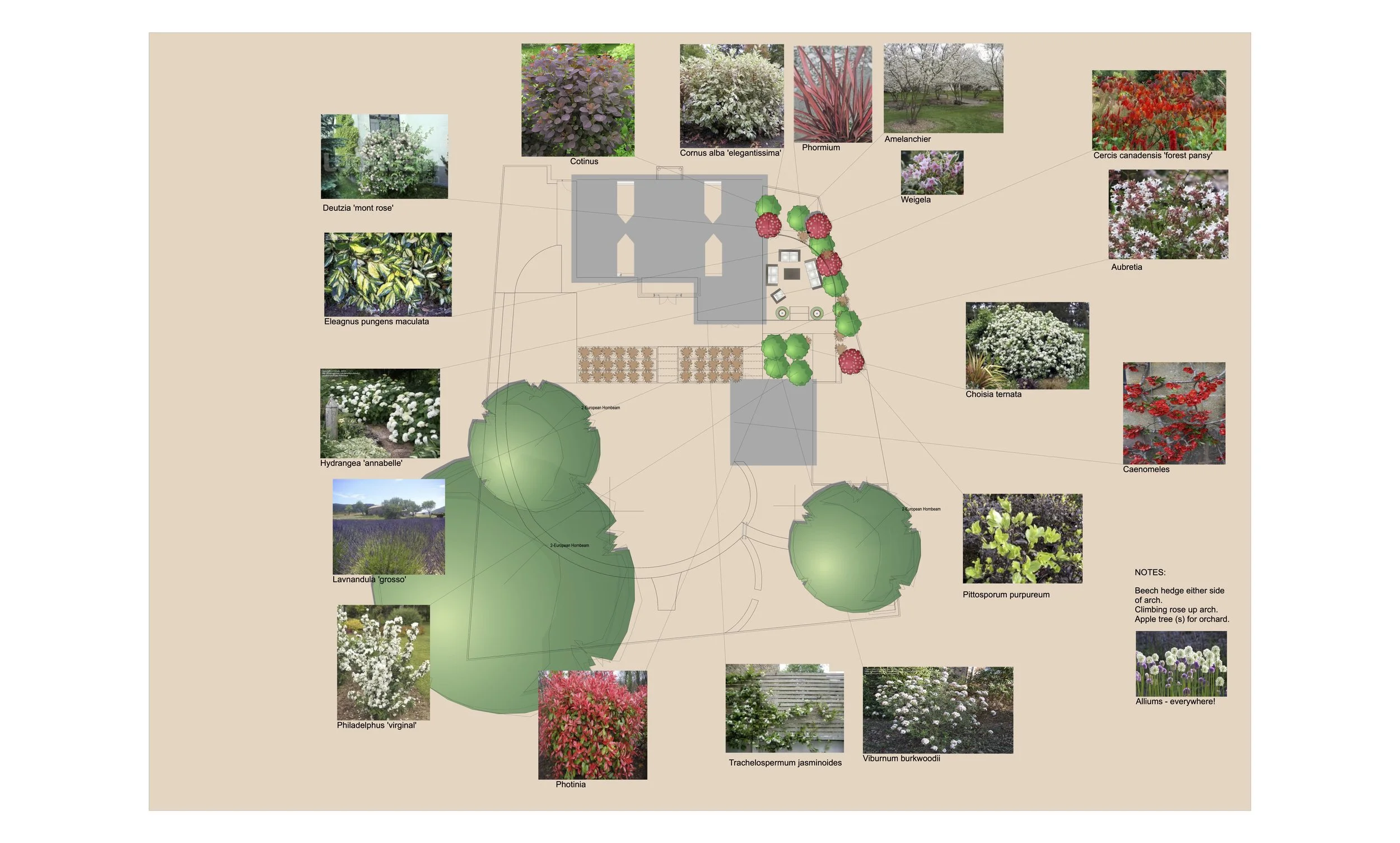 Smith 9 planting plan v2025.jpg
