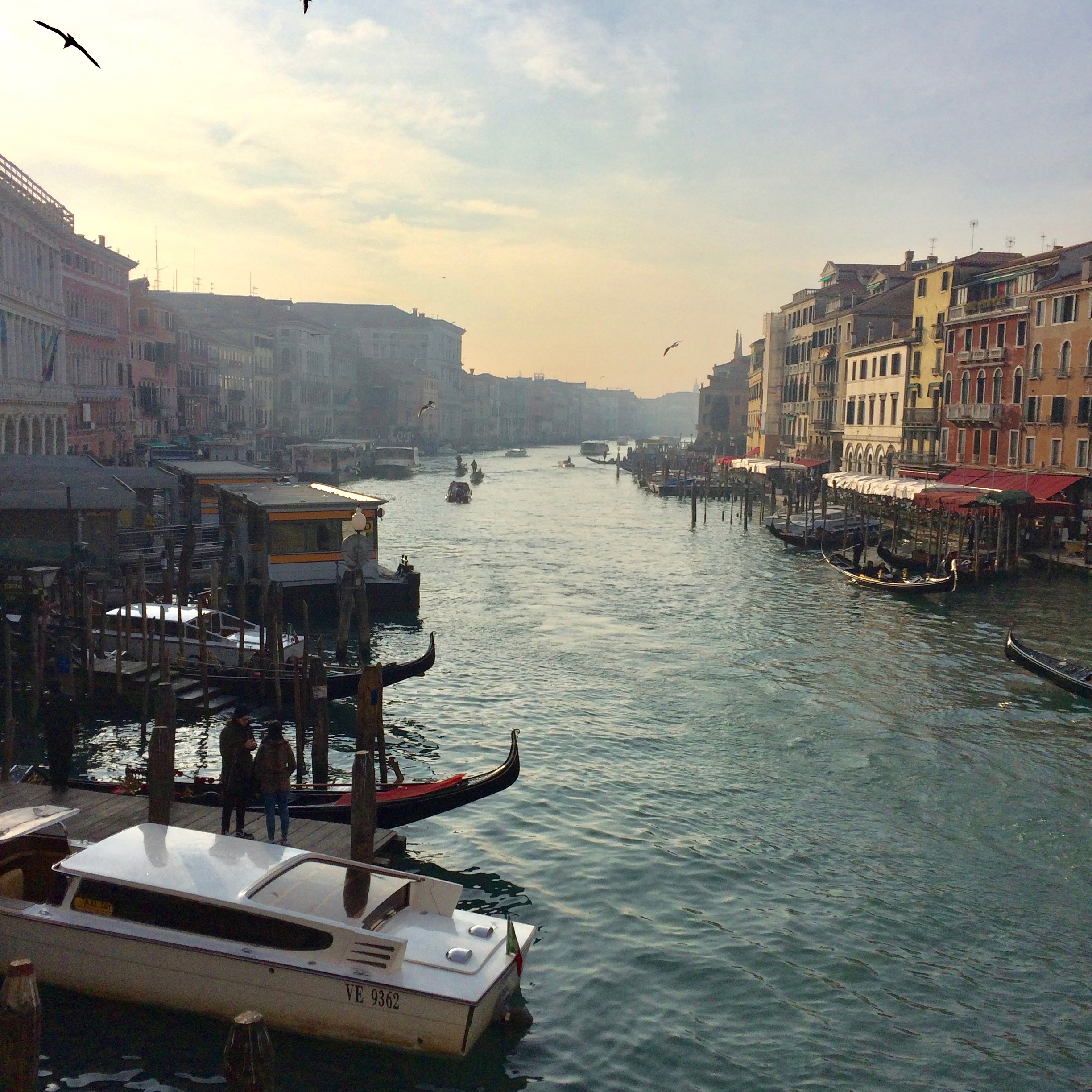 The Grand Canal in Venice. 