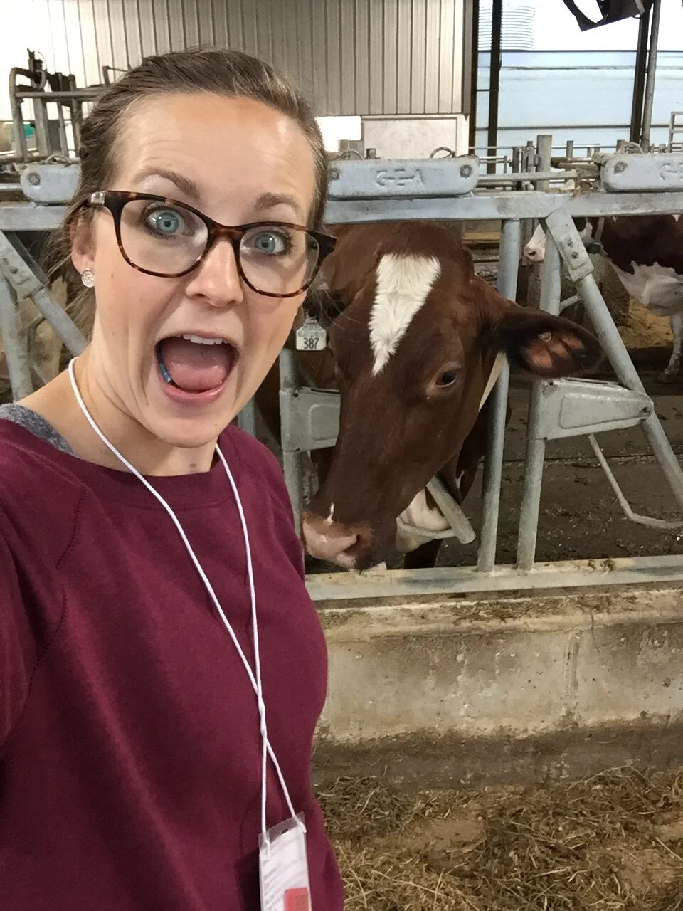 Your Dairy Questions Answered