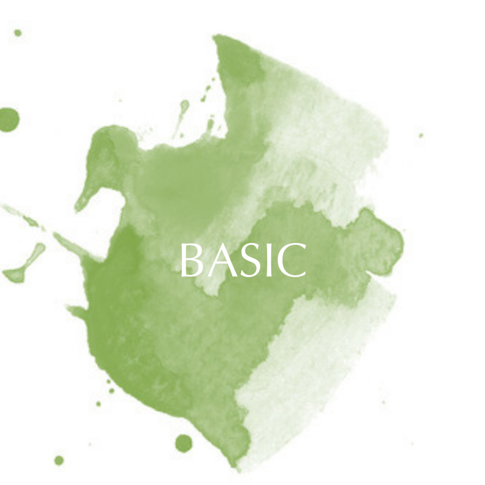 BASIC-3.png