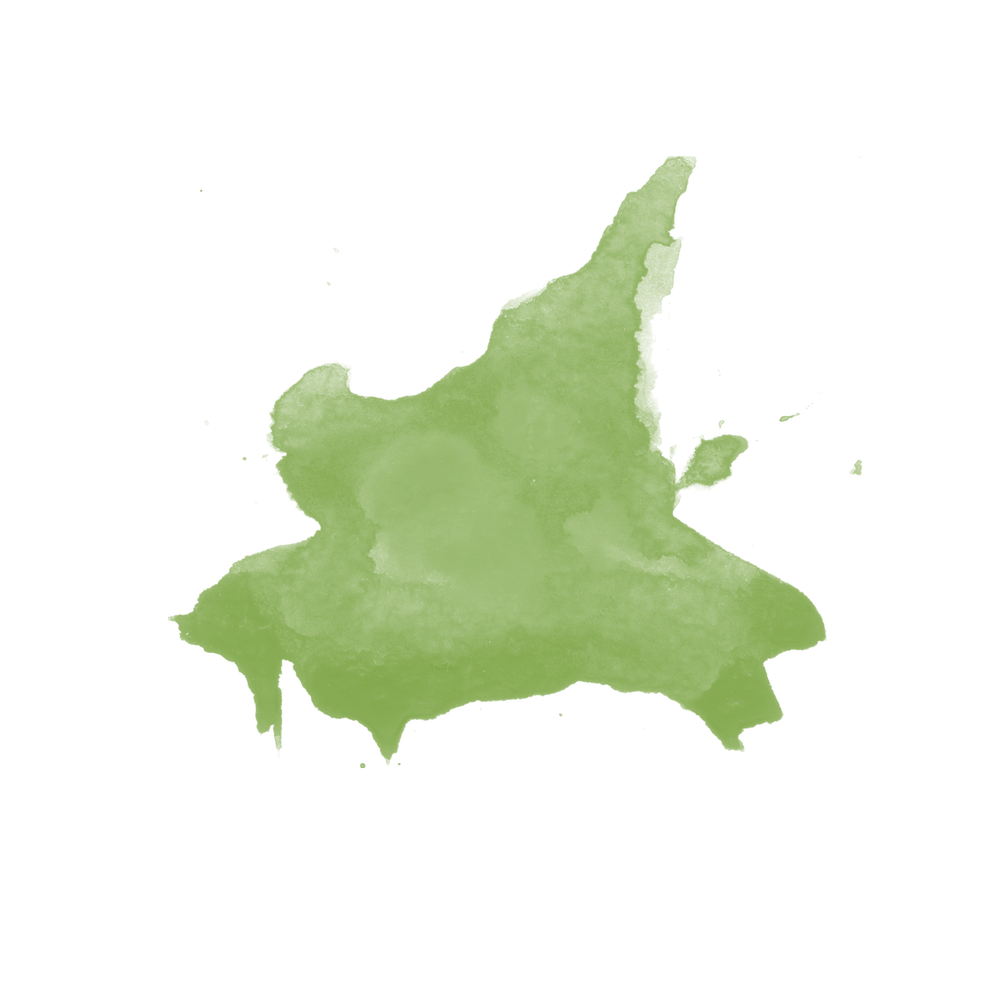 Basic Training Asia Pacific Parakaleo