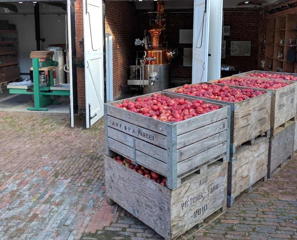 One delivery of apples awaiting pressing