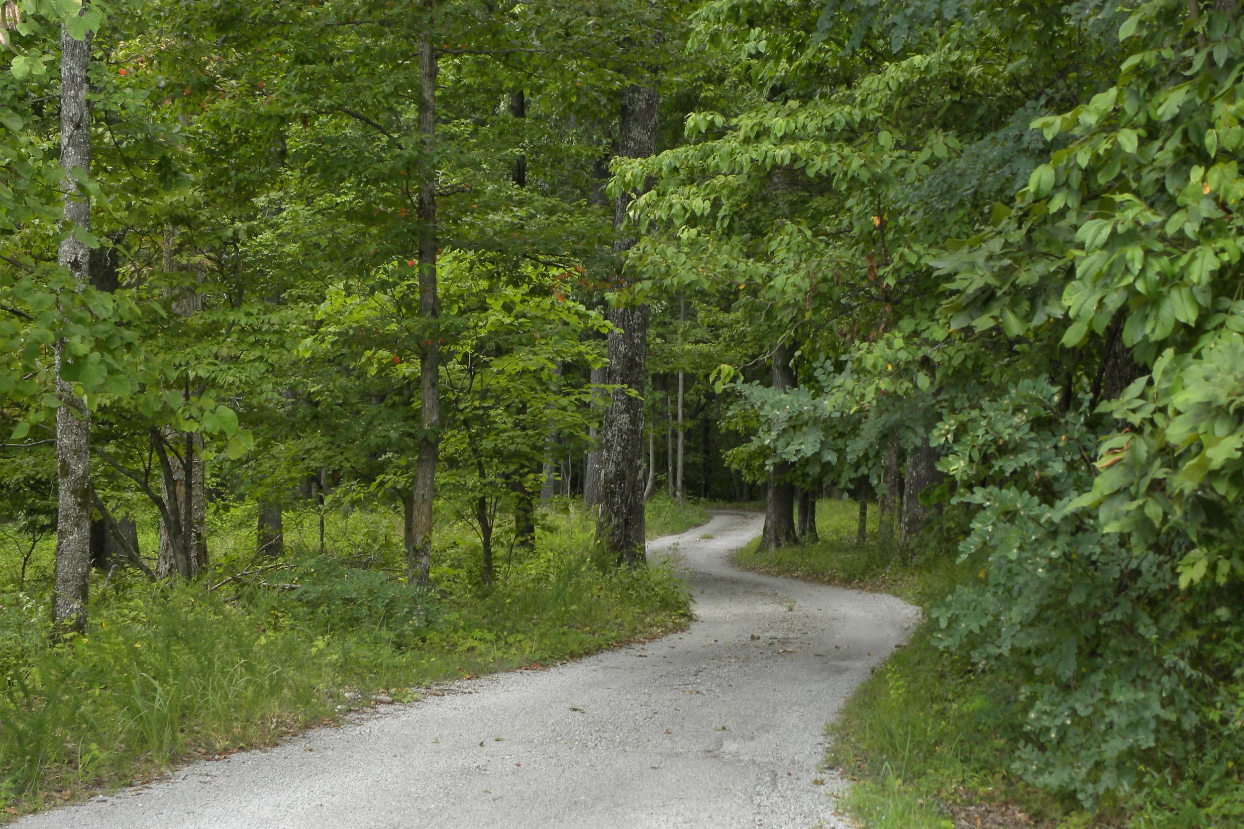 Road to LoveShack in Spring copy.jpg