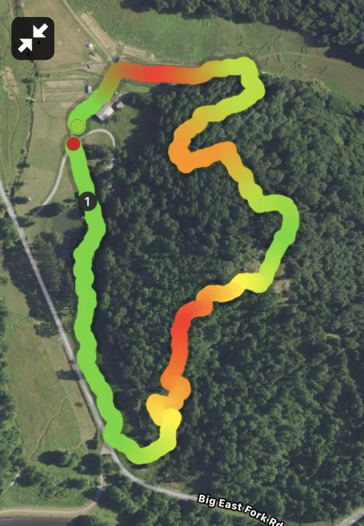 Circle Lodge Loop (1.0 mile).jpg