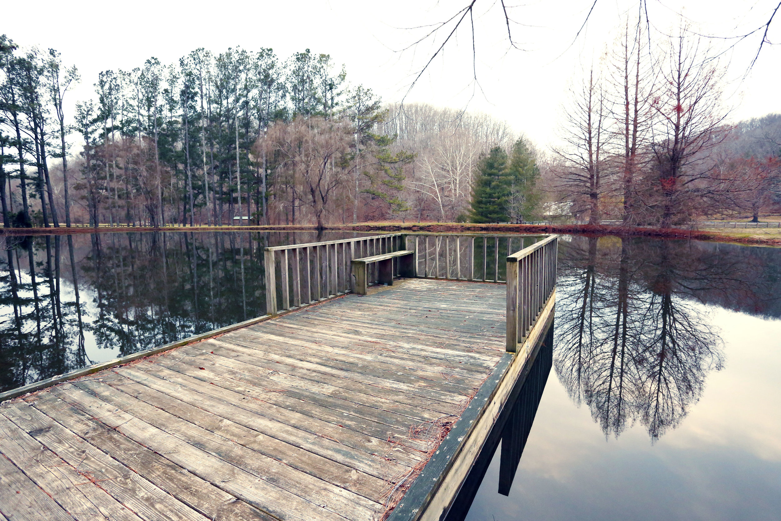 L OS dock nice!.jpg