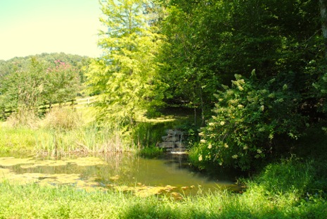 L OS Koi Pond.jpeg
