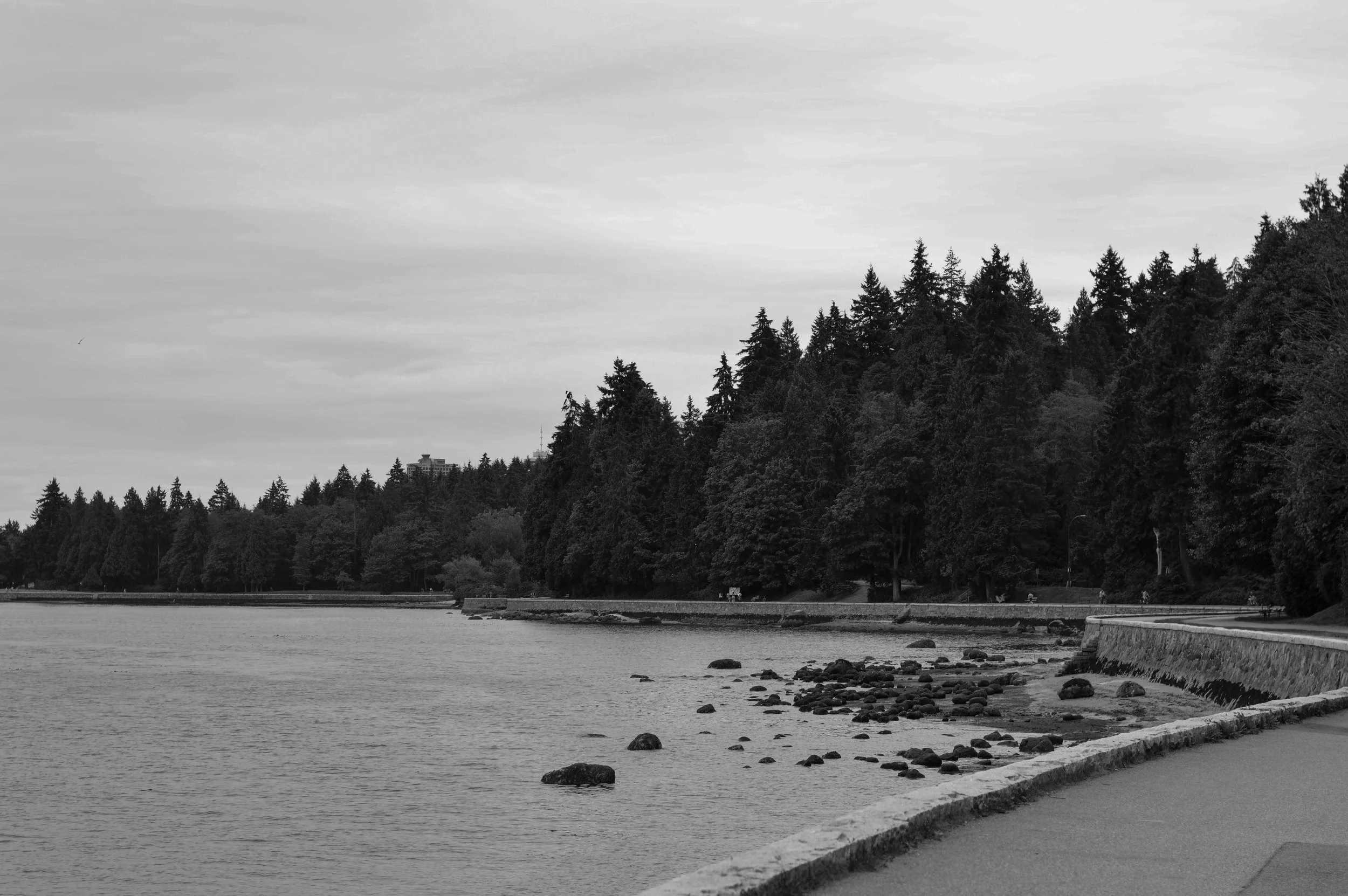 20150624-19344710898_ebd5651f27_o.jpg