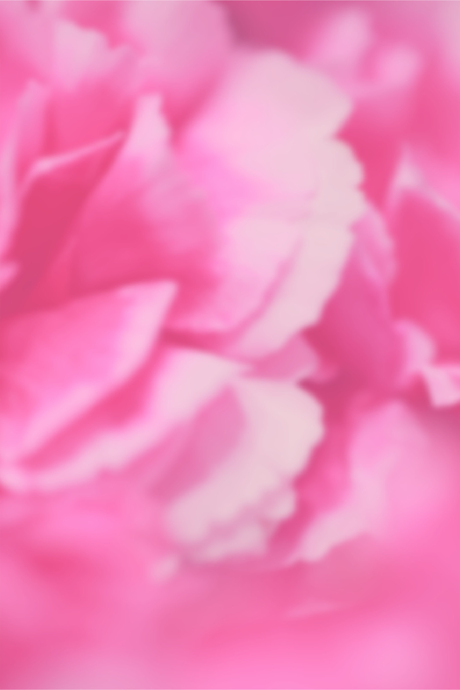 LIGHTER_sharon-mccutcheon-Iz7qLD_u0to-unsplash (1).png