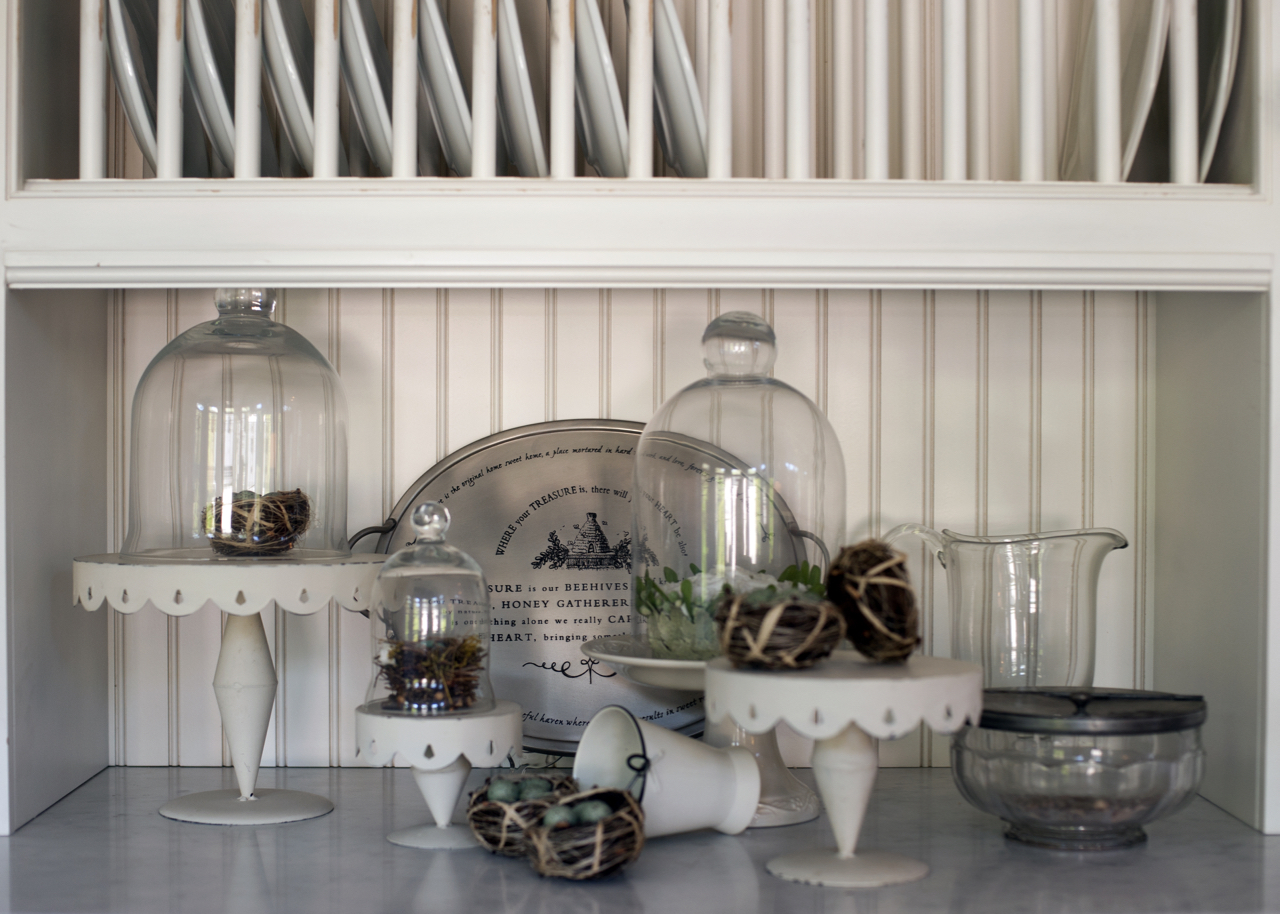 Kitchen Design and Renovation