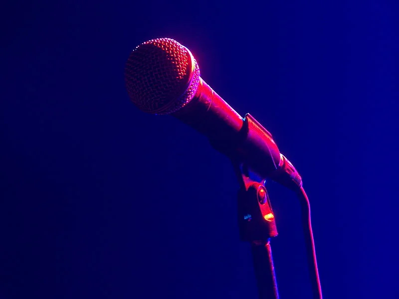 800px-Microphone.JPG